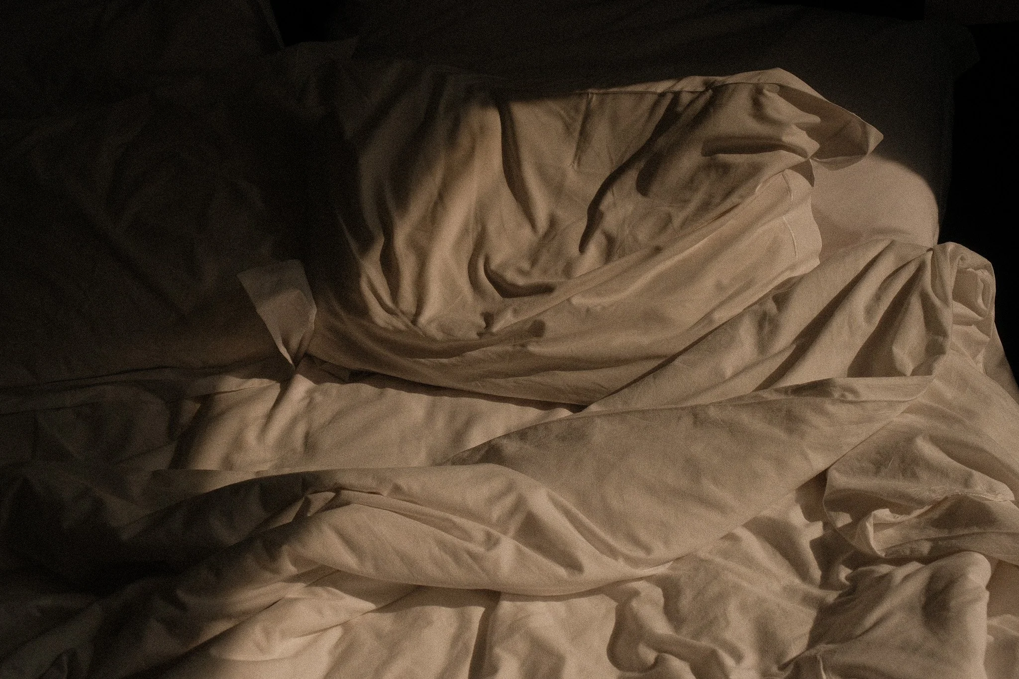 DSCF3689.jpg