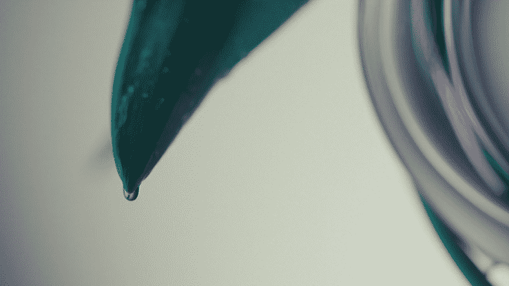 Florals & Fragrance-high.gif