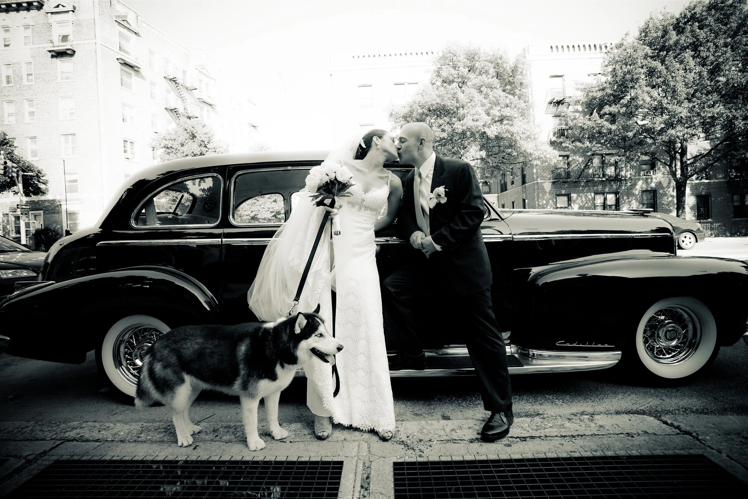 A bride and groom kiss in front of a vintage black car, with a dog on a leash beside them, in an urban setting with trees and buildings in the background.