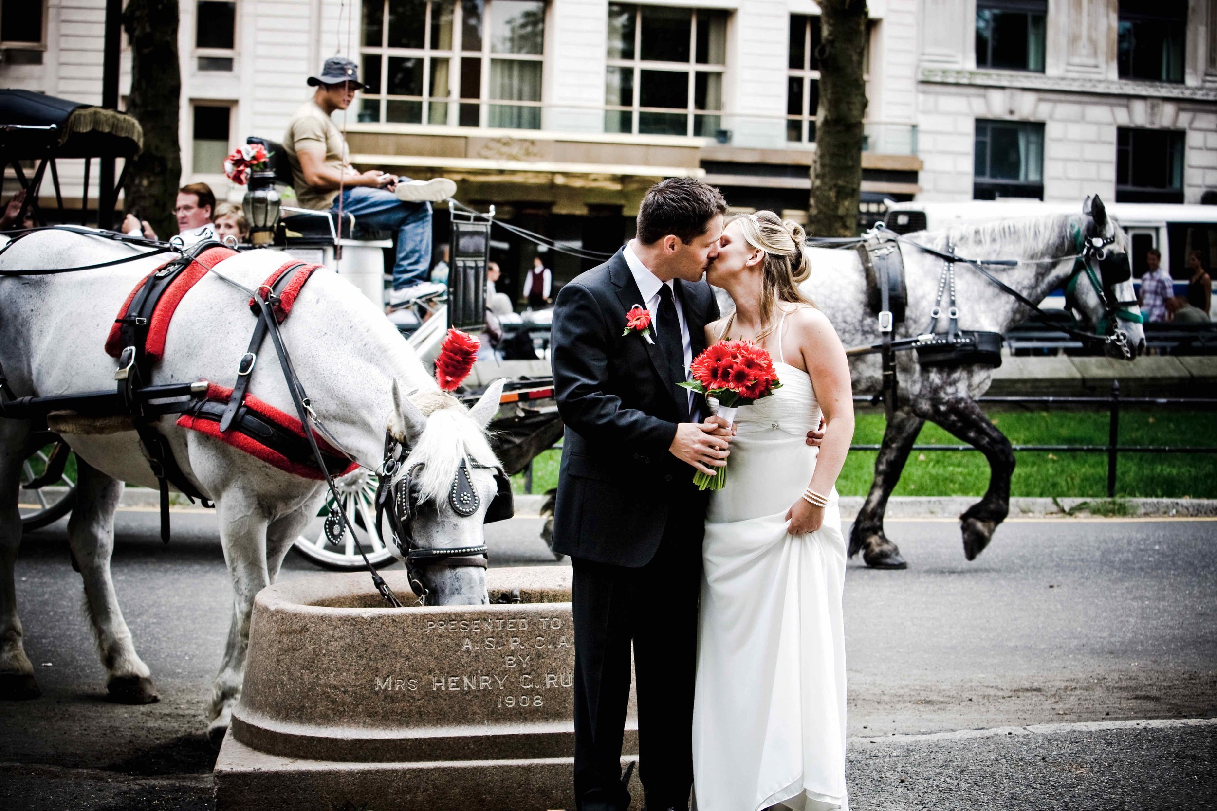 A newlywed couple sharing a kiss on a city street, with the bride holding a bouquet of red flowers and the groom in a black suit. Horse-drawn carriages are in the background, and the surroundings include a building with large windows.