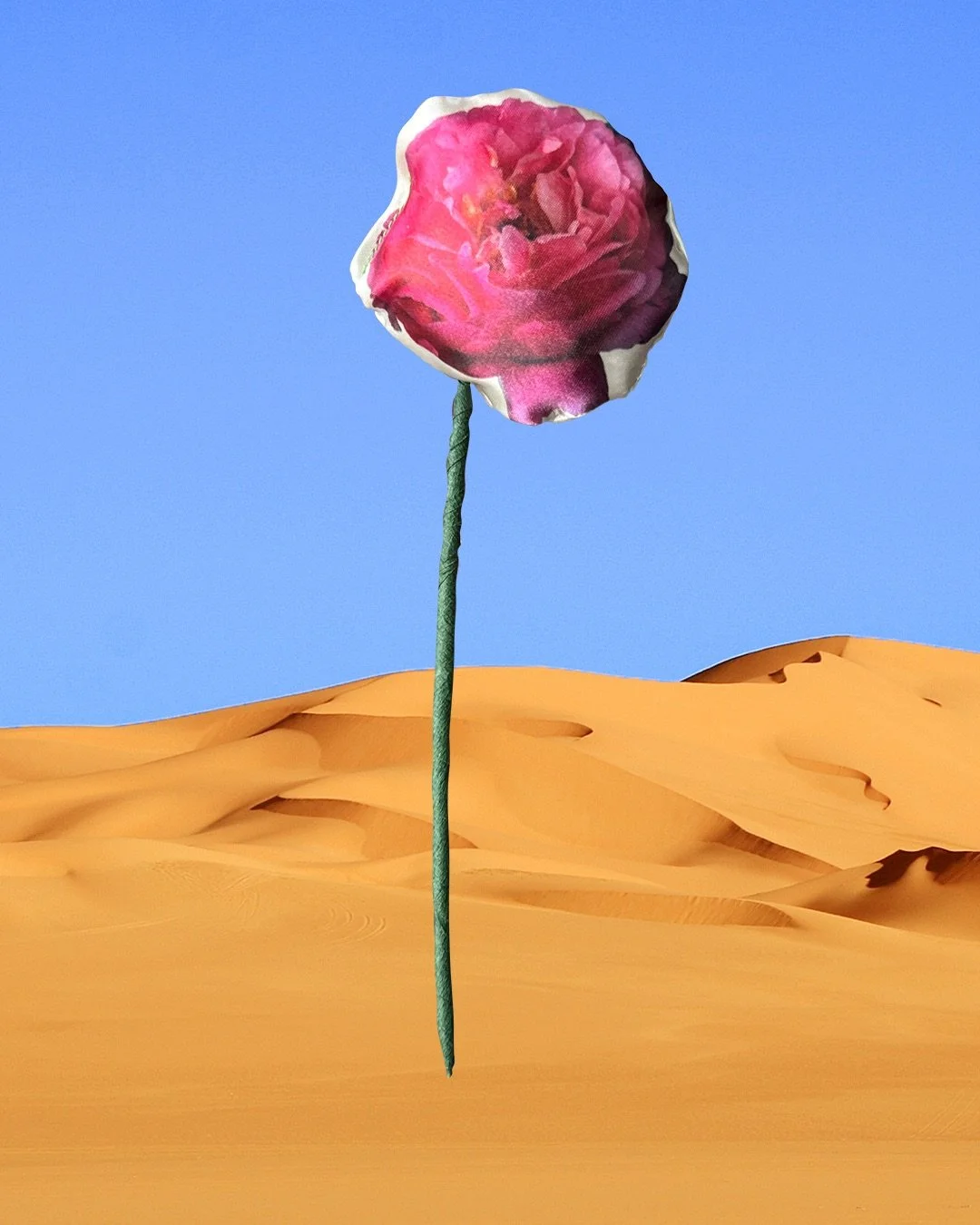 peonie website.jpeg
