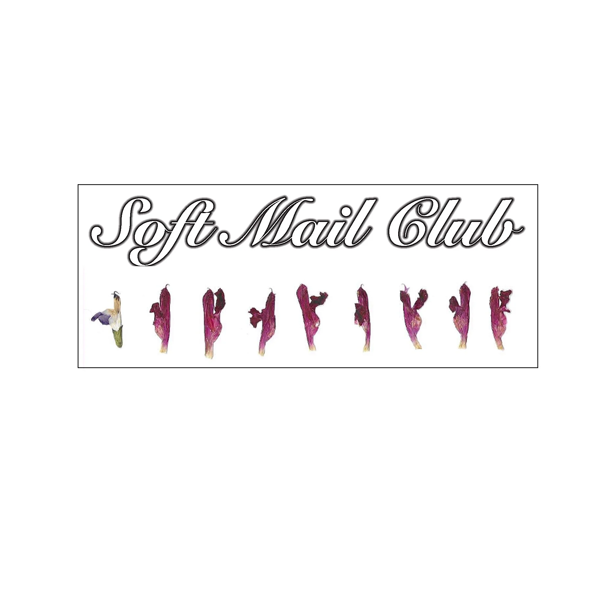 soft mail club 6.jpeg