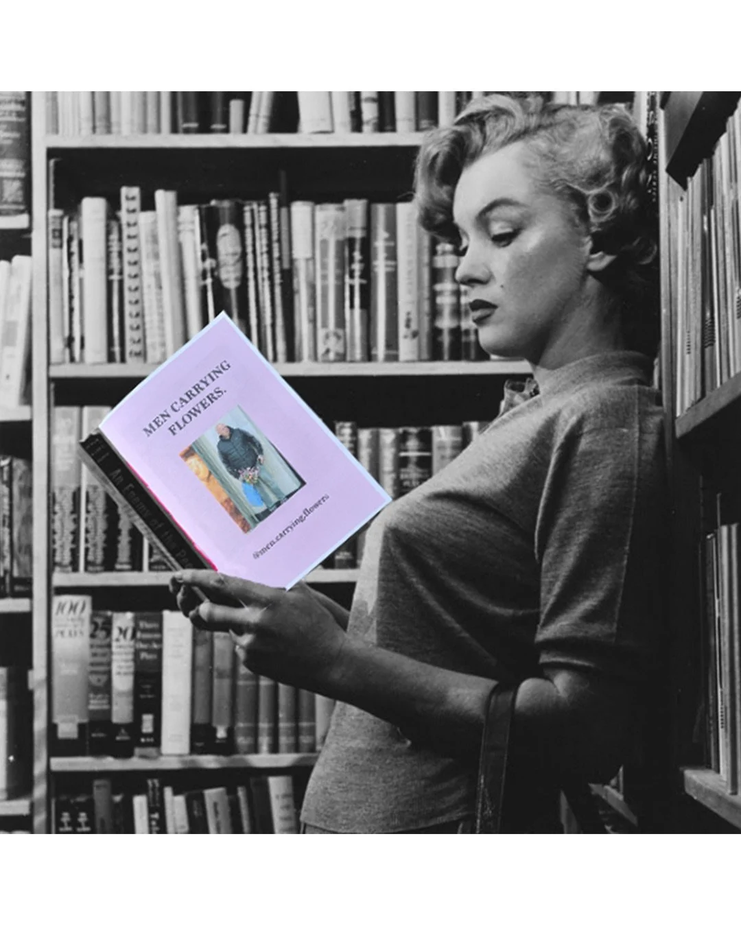 marylin.jpeg