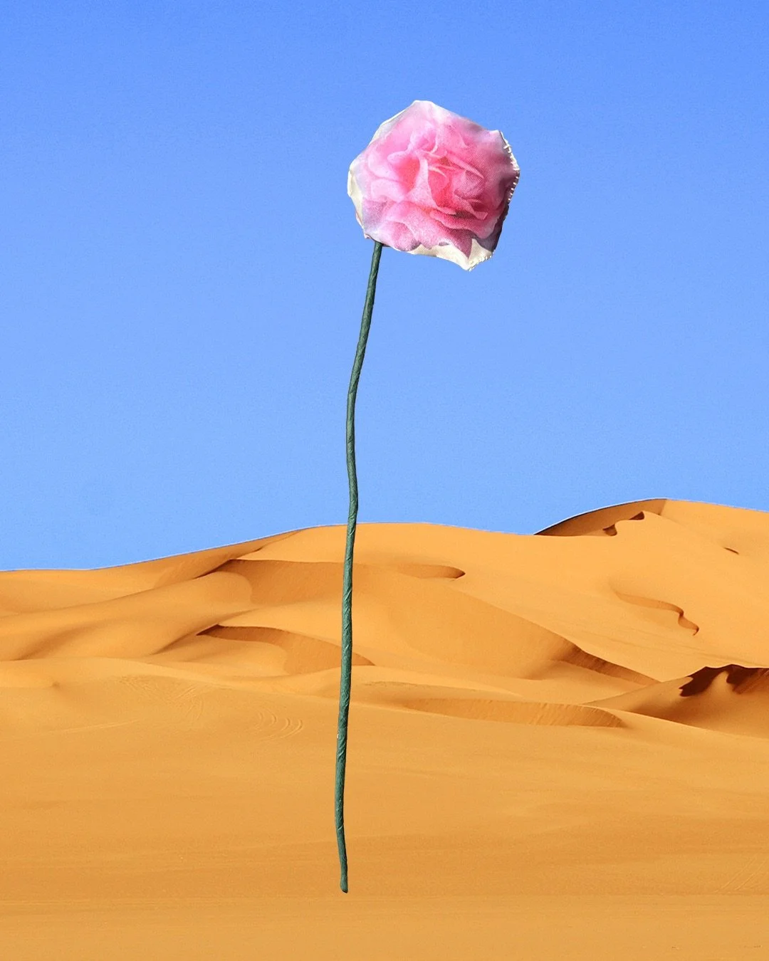 STRANGE FLOWER