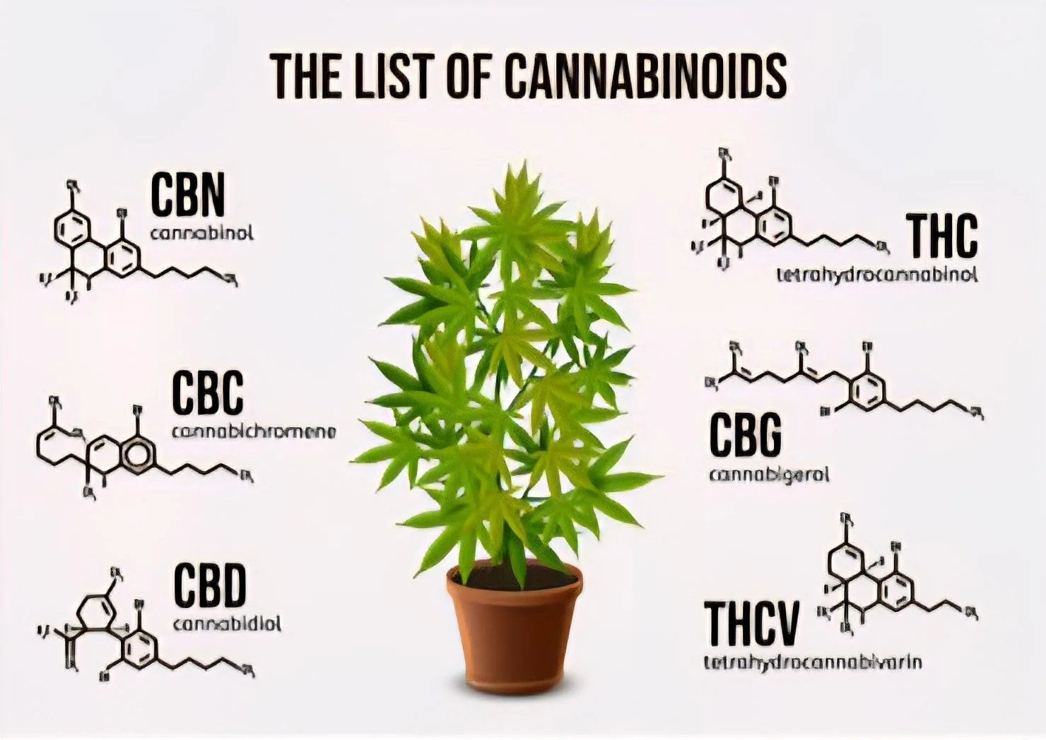 Diagram of the cannabis plant with chemical structures and names of common cannabinoids: CBN, CBC, CBD, THC, CBG, and THCv, arranged around the plant.