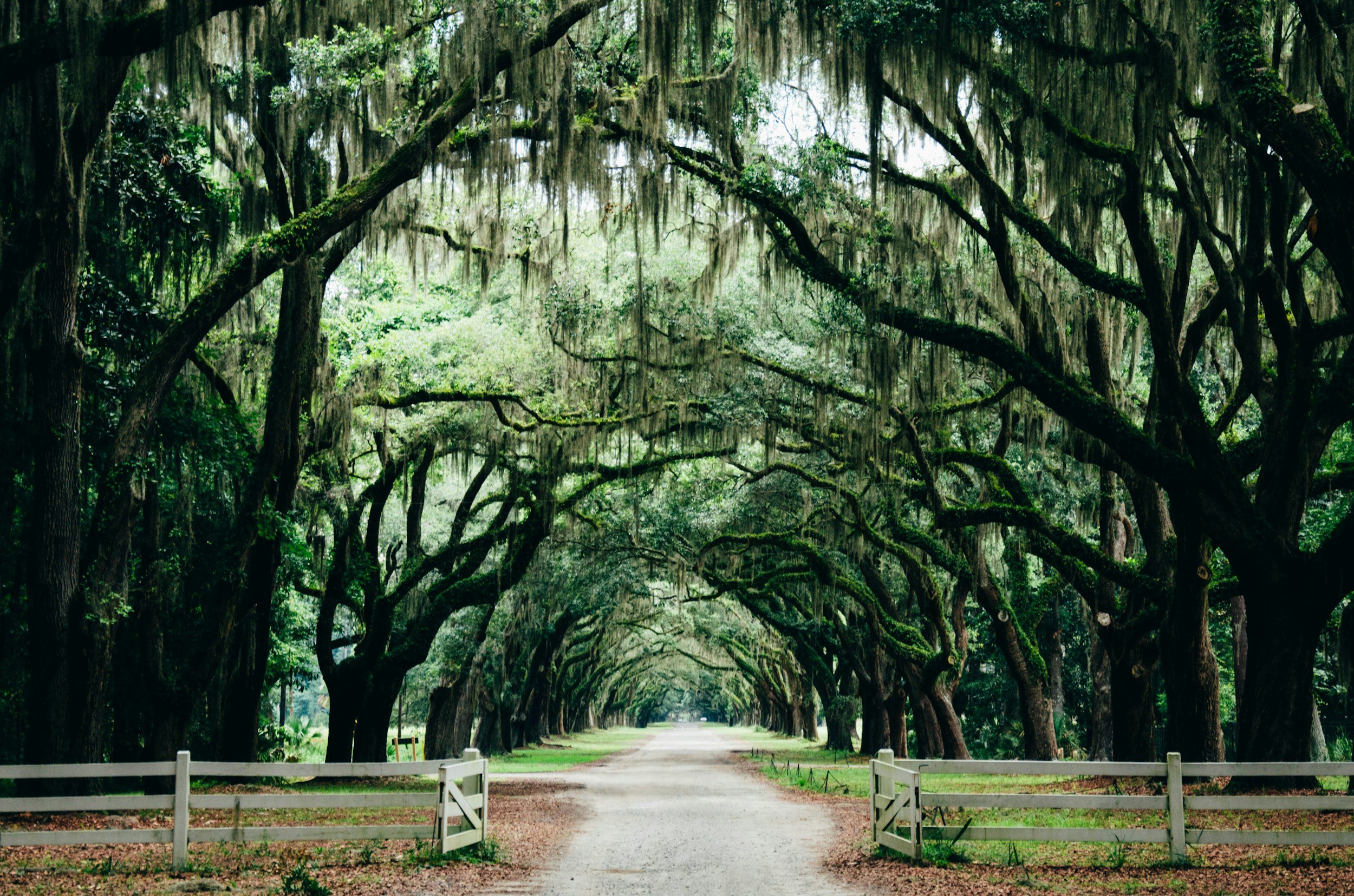 The Perfect 5-Day Southern Girls Road Trip: Charleston, Beaufort &amp; Savannah