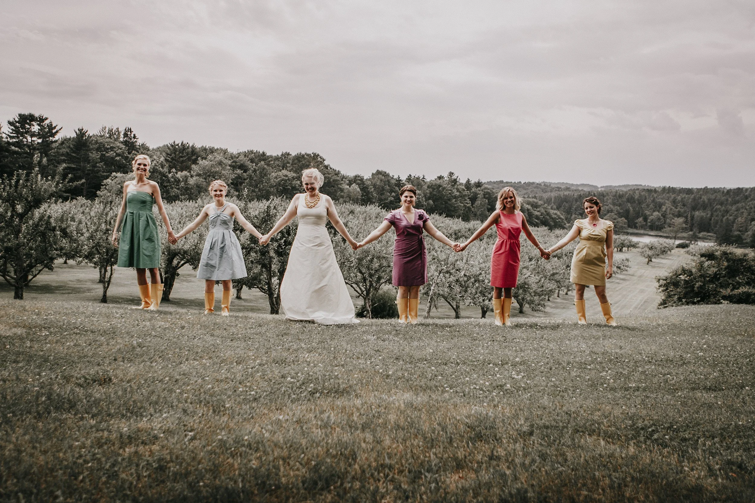 Bridal party, Clark Cove Farm, Maine