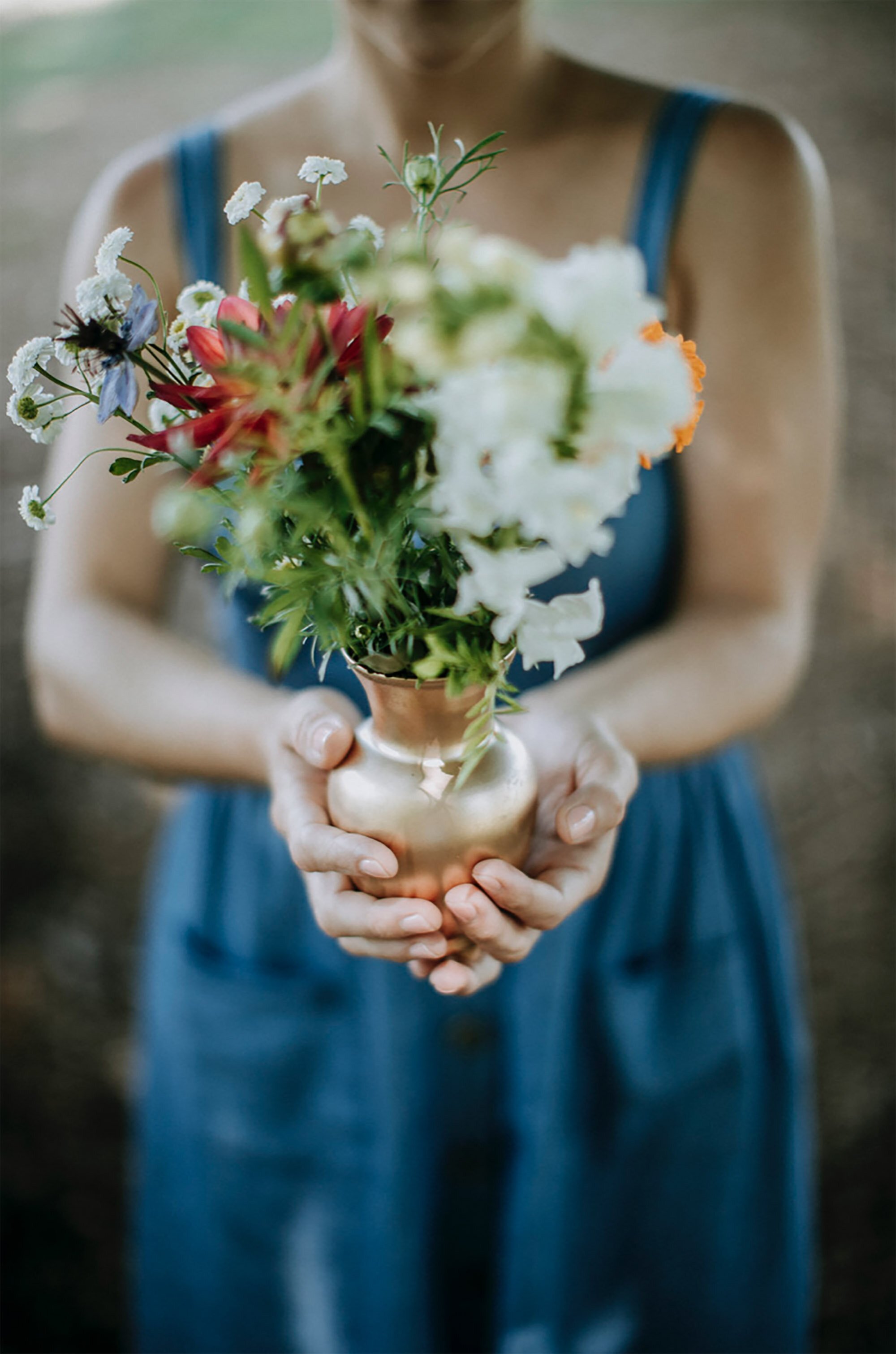 screen shot 2019-12-03 at 1.36.01 pm.jpg