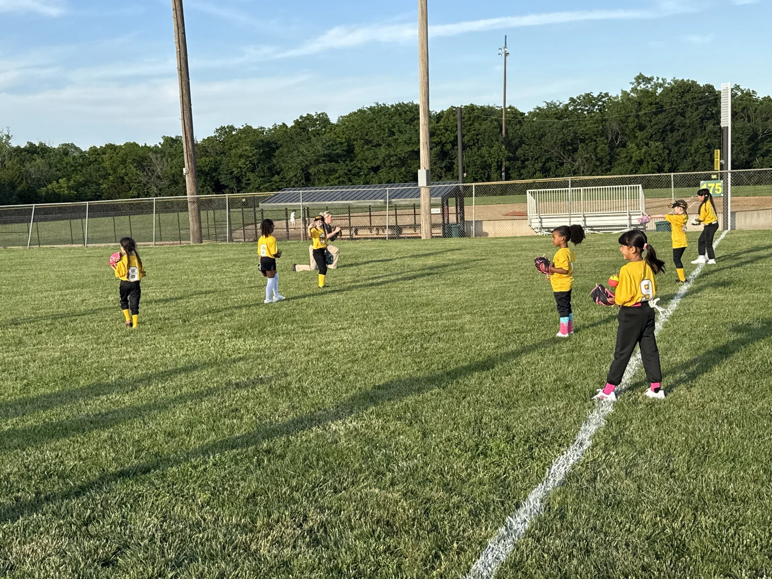 Summer Softball