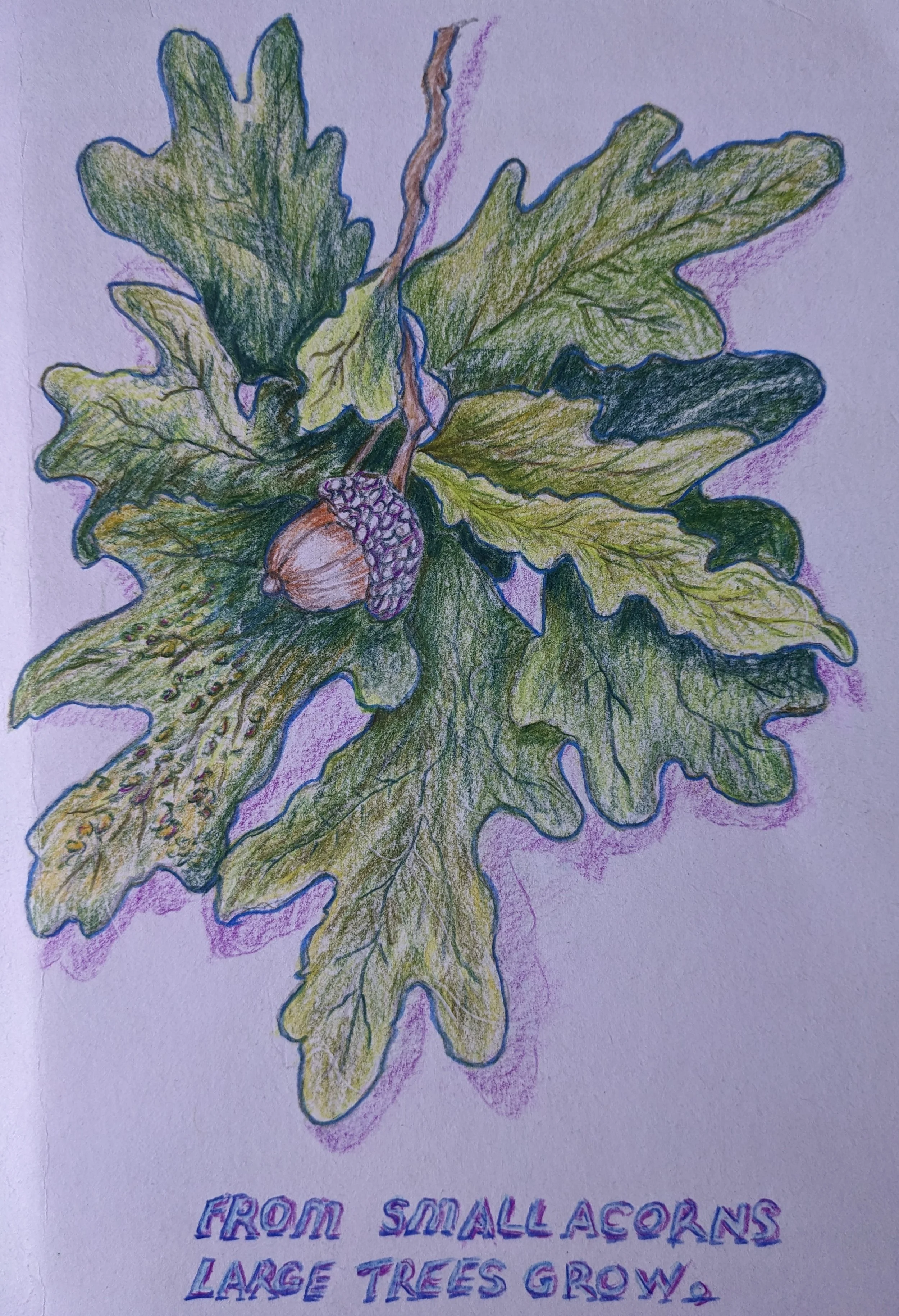 My latest colouring pencil exercise March 2026