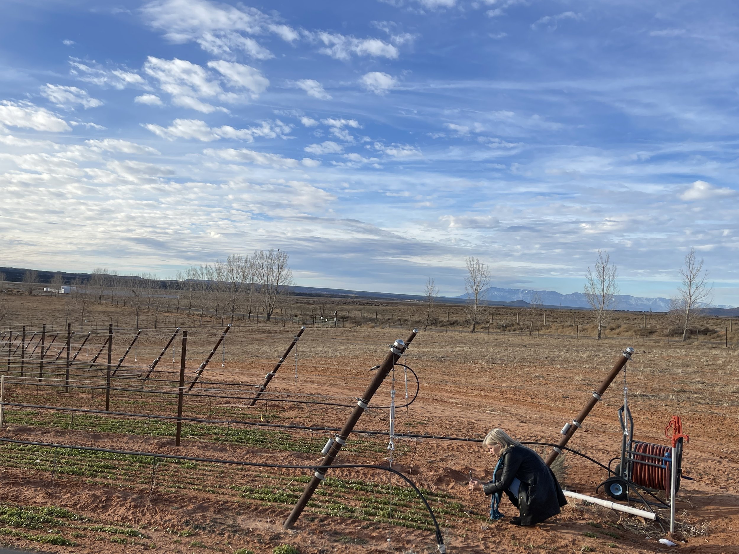 January the time for day dreaming…