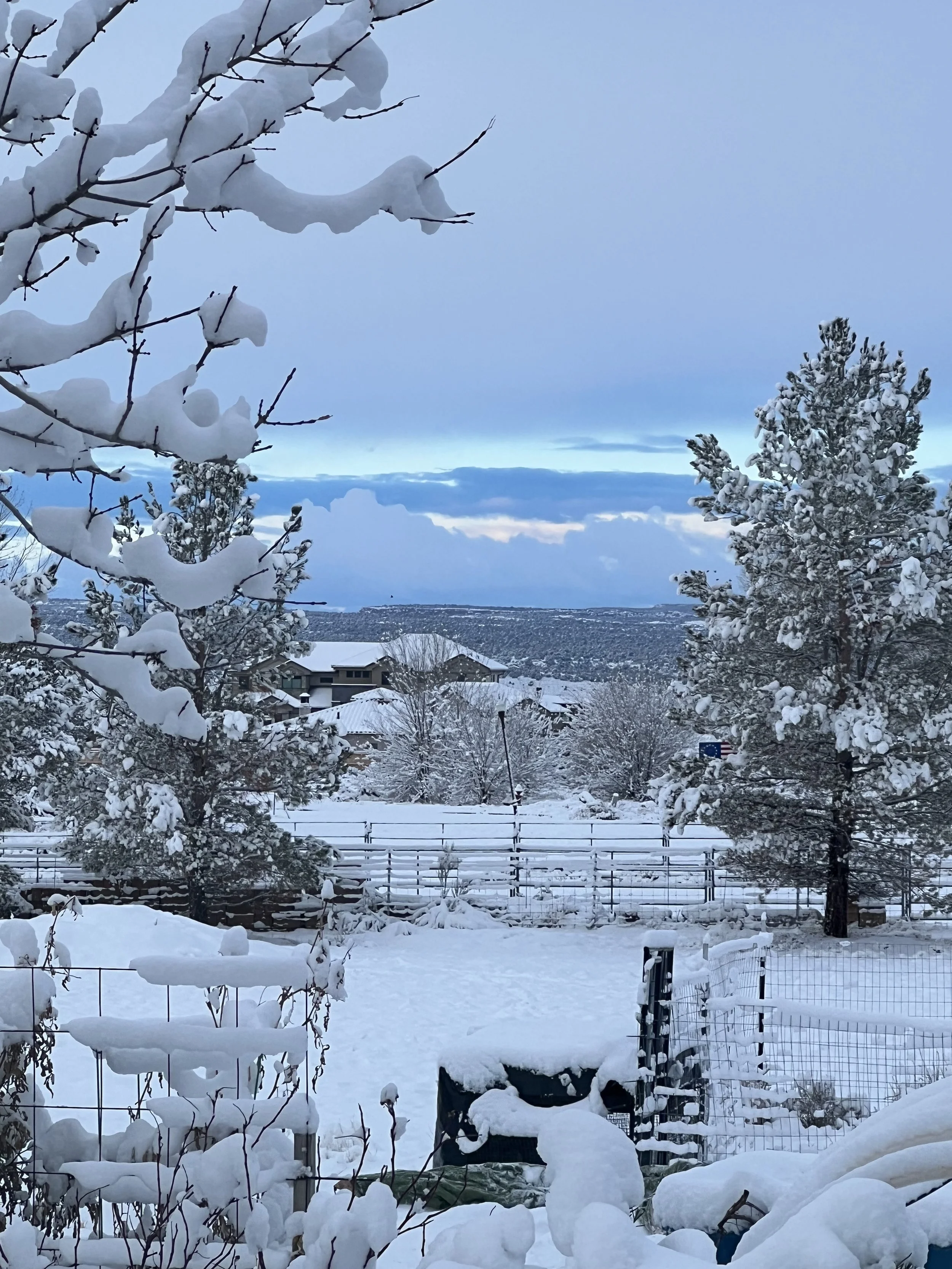 Prayers Answered … a double edged sword