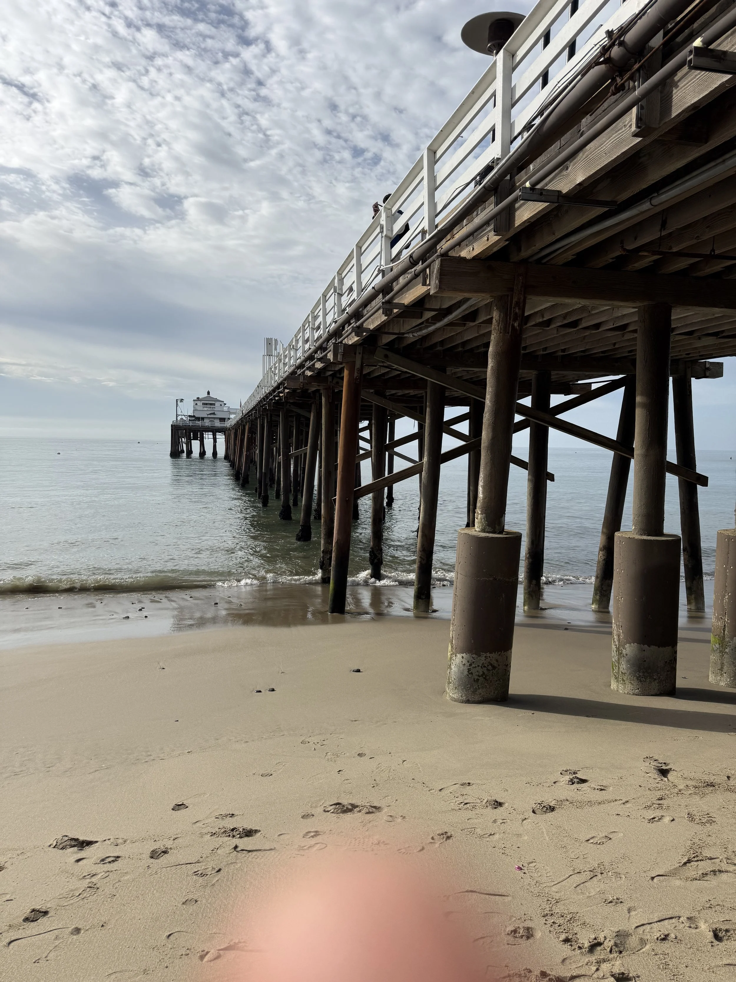 IMG_8132.jpeg