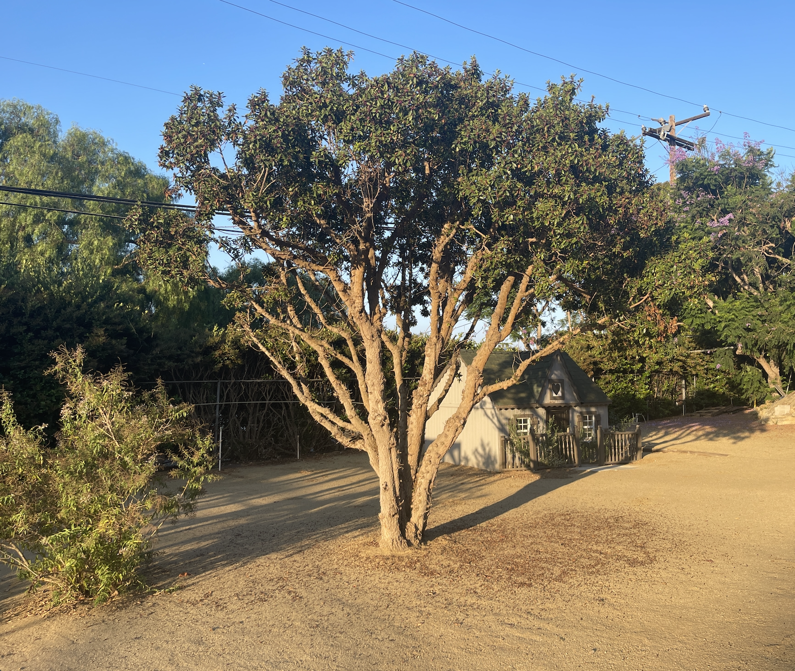 Screenshot 2026-02-21 at 10.19.22 AM.png