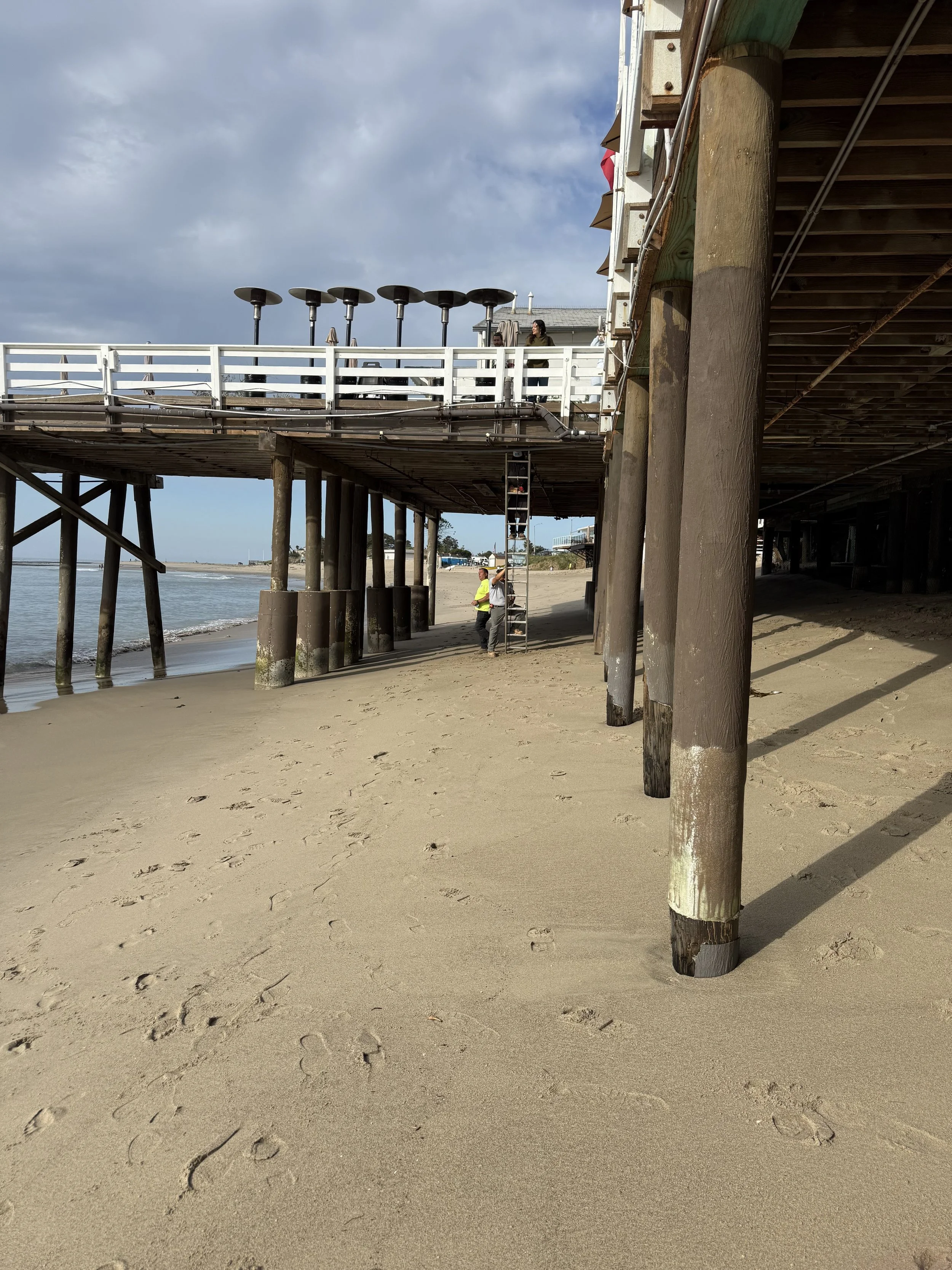 IMG_8130.jpeg