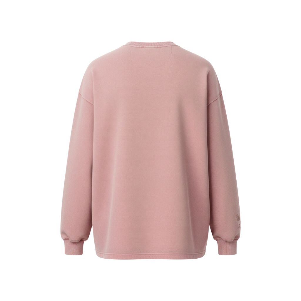 VP SILENCE DOUBT LONG SLEEVE PINK BACK.png