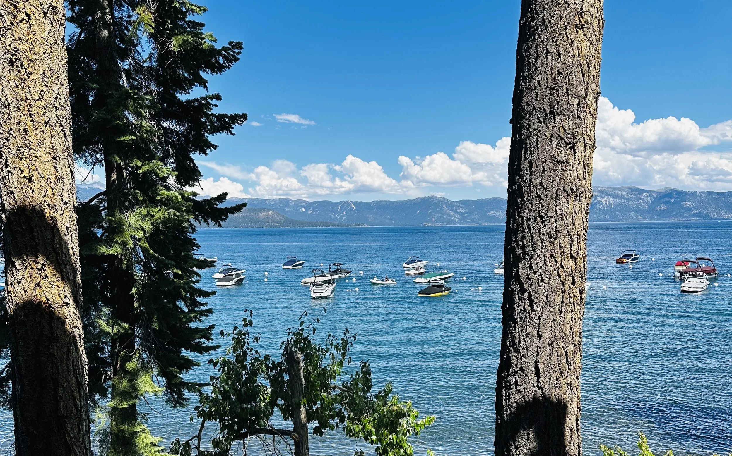 Annual Lake Tahoe Trip