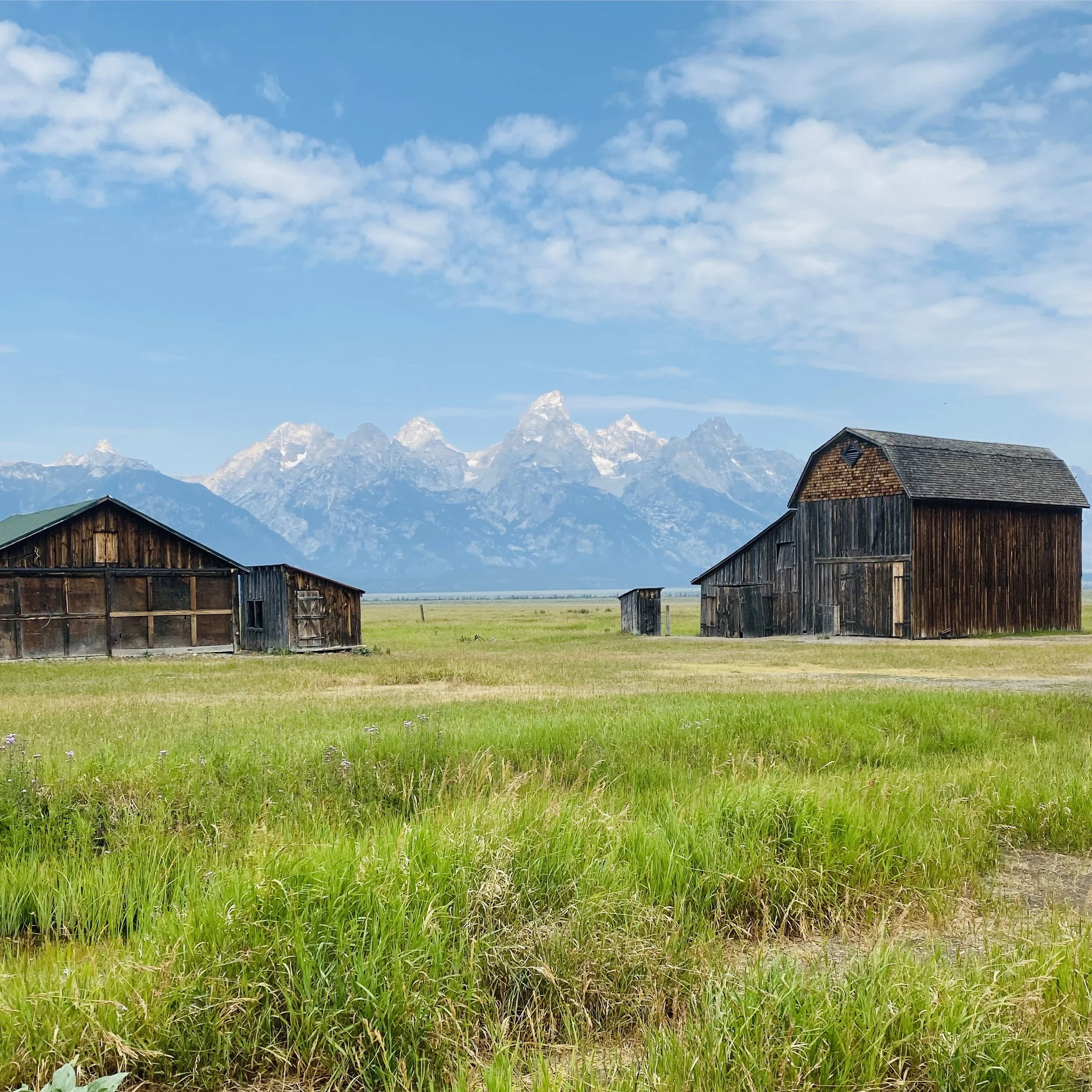 Jackson Hole, Wyoming in the Summer: A Perfect Mountain Escape