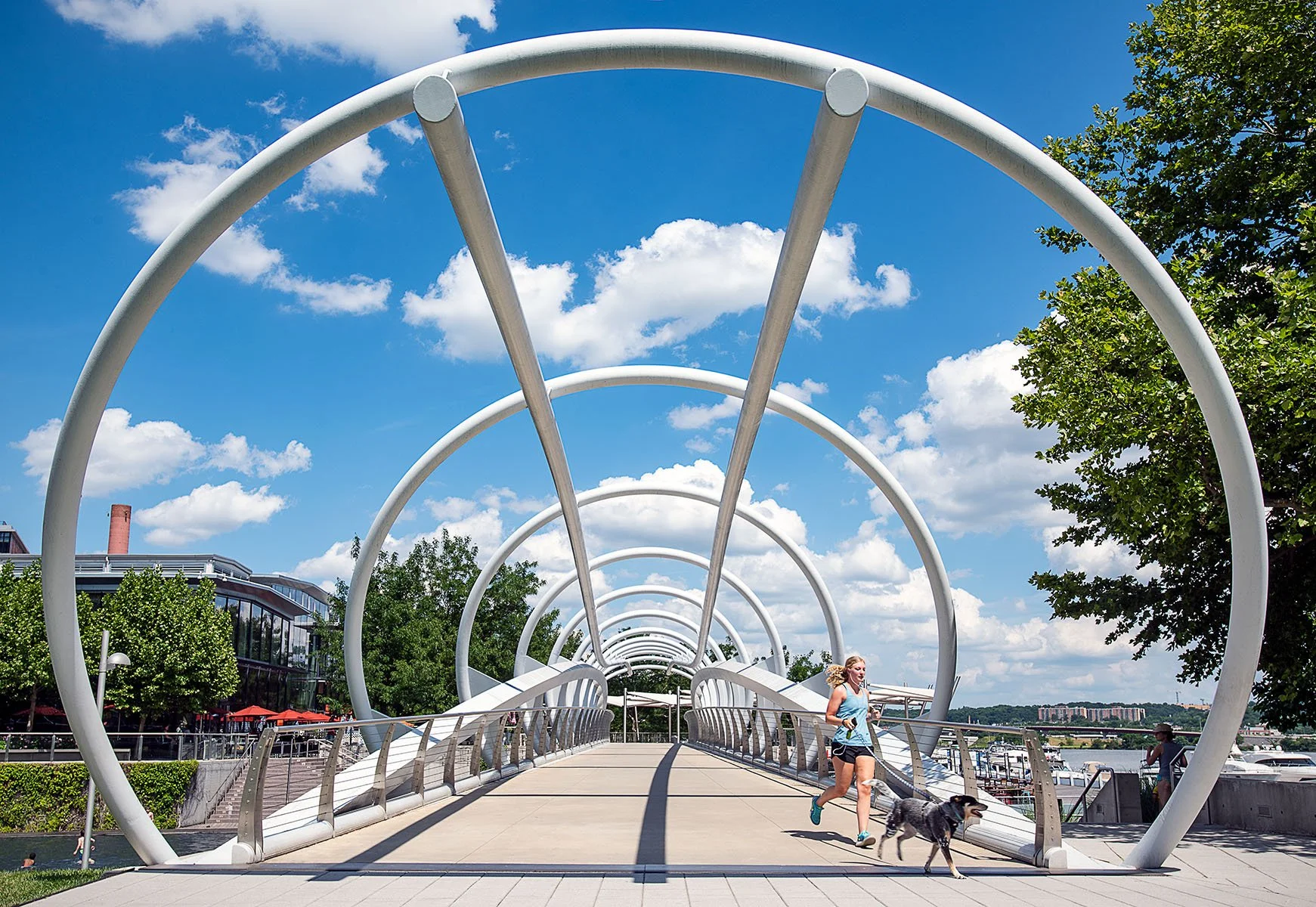 Yards Park Bridge - Washington, DC