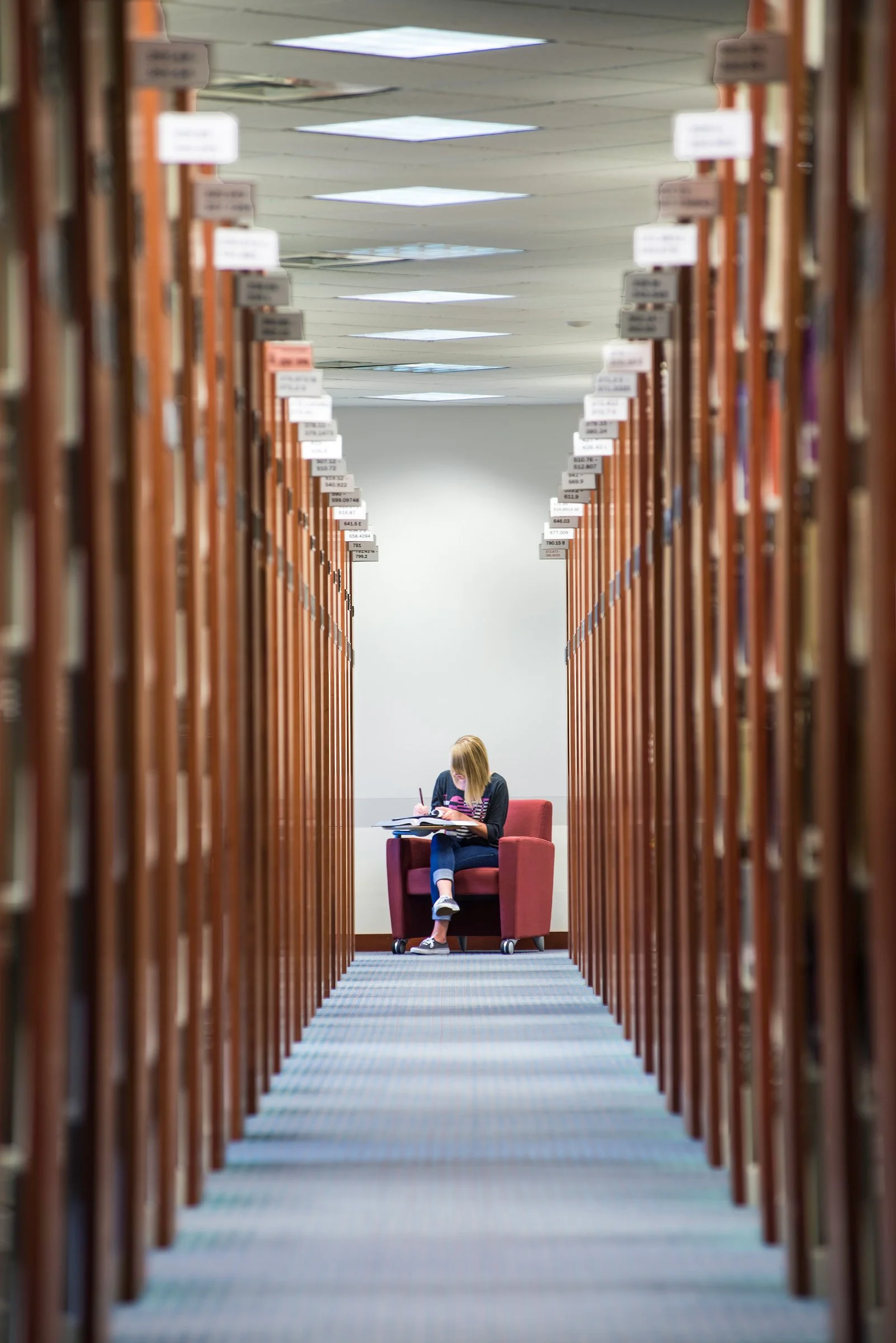 In the Stacks at the Gabrielle Library © David Fonda.jpg
