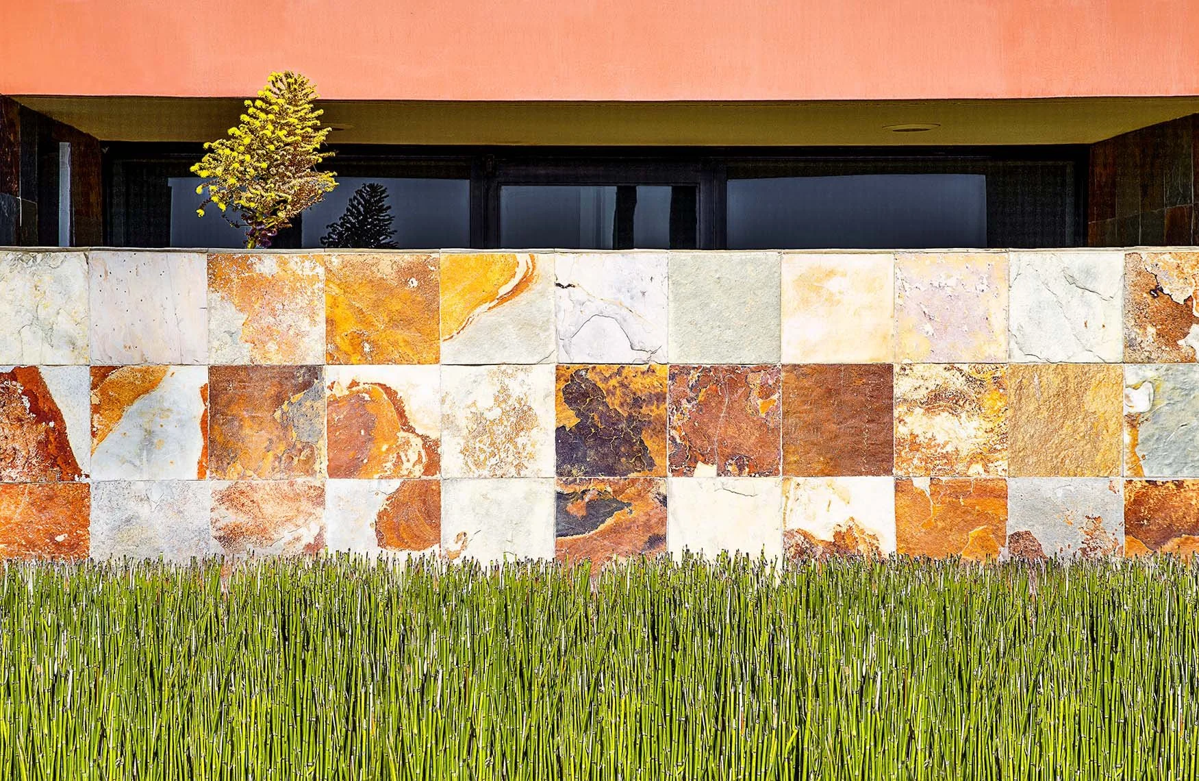 Landscape Detail - Venice Beach, CA