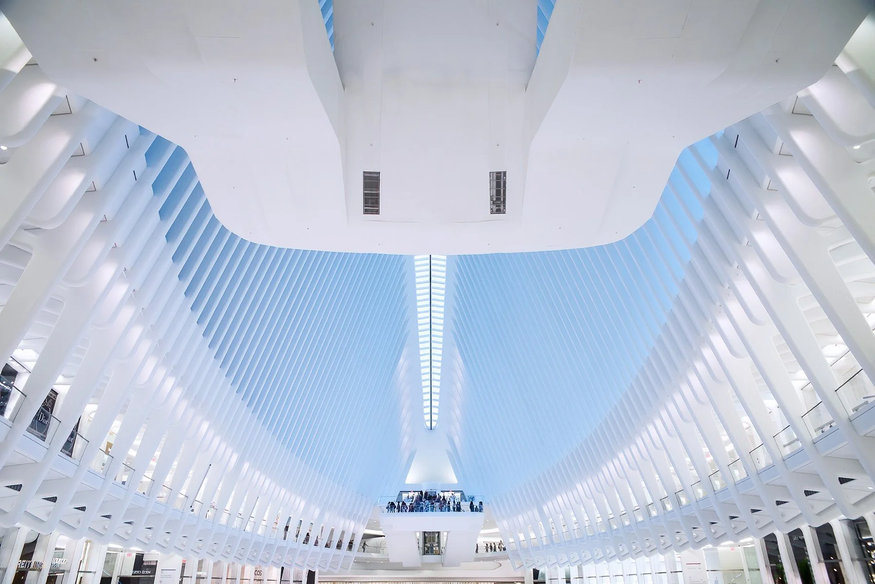 Oculus, WTC Transportation Hub - New York