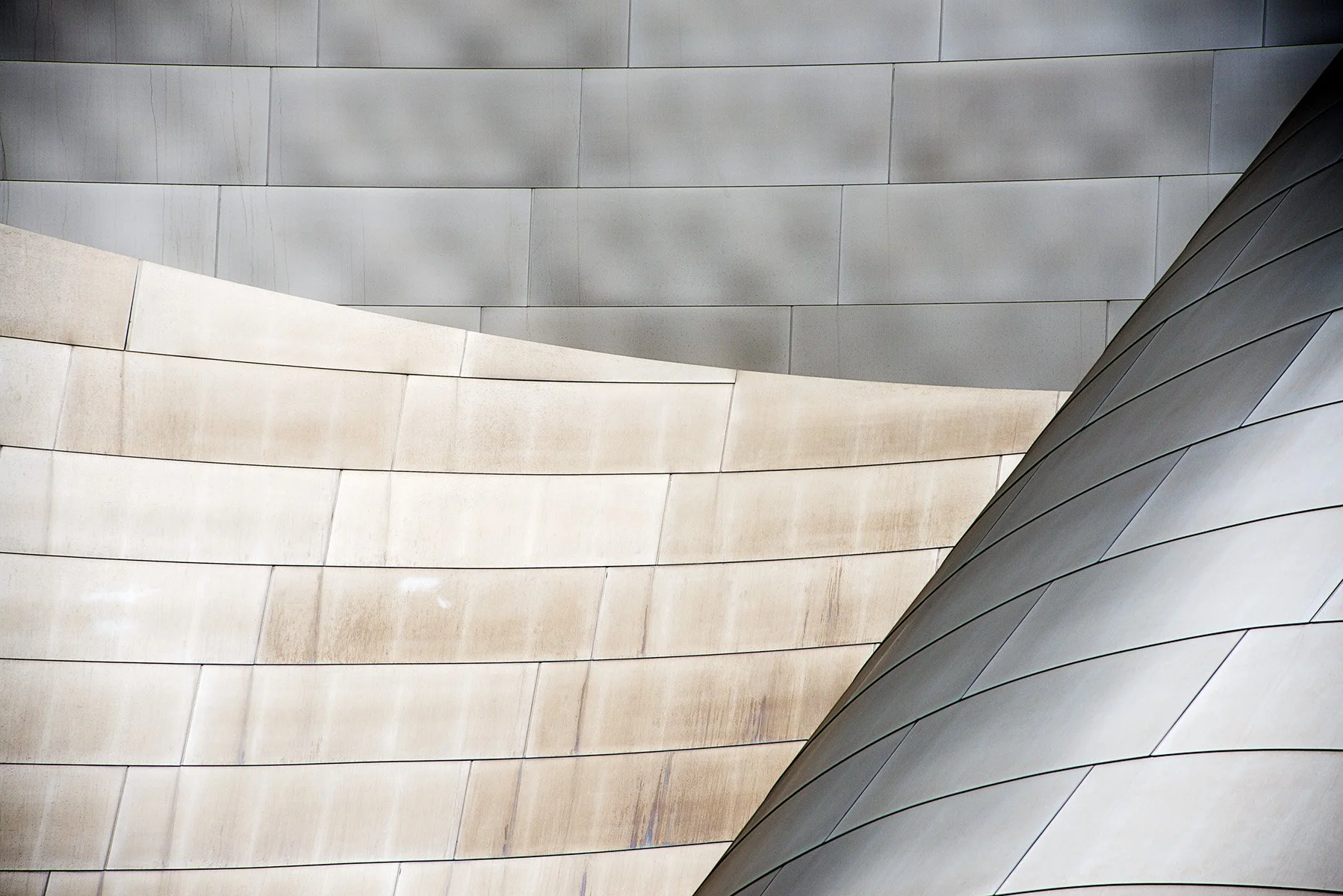 Gehry Landscape - Los Angeles