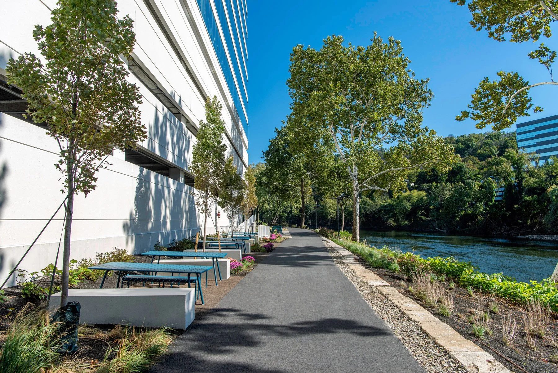 Riverside path adjacent to office tower © David Fonda.jpg