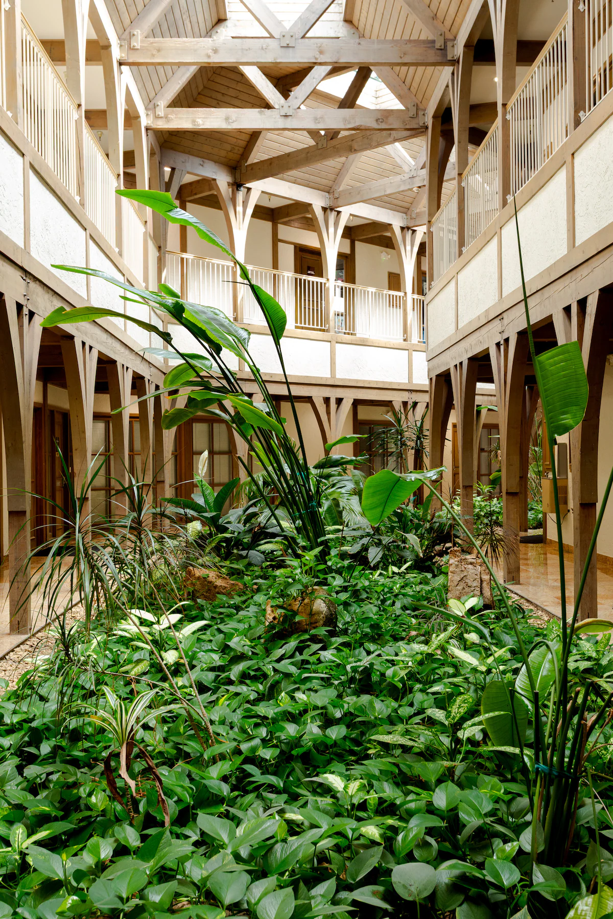 20-everbare-building-interior-plants-architecture-leawood-ks.png
