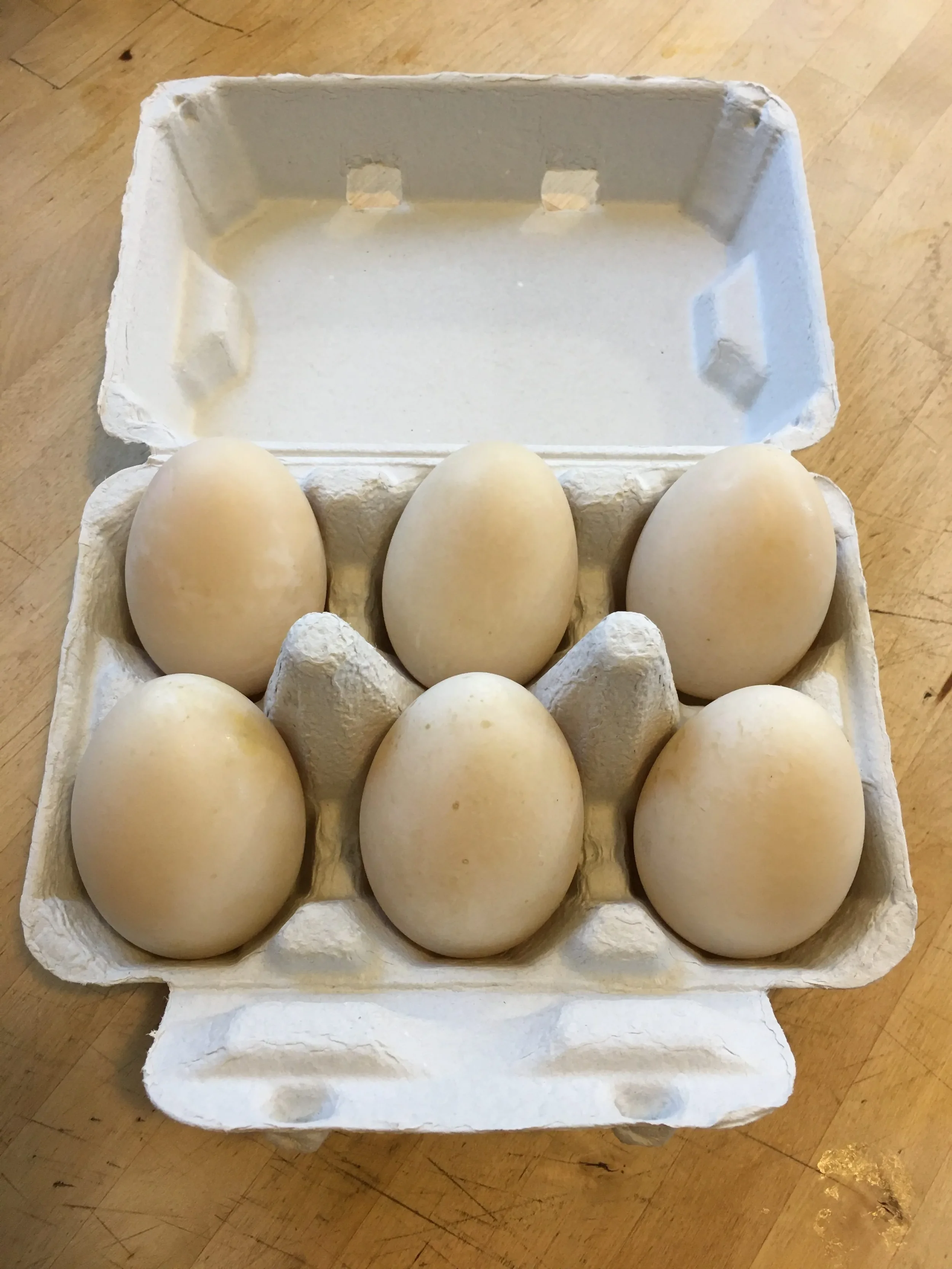 Fertilized Cemani egg 1/2 Dozen