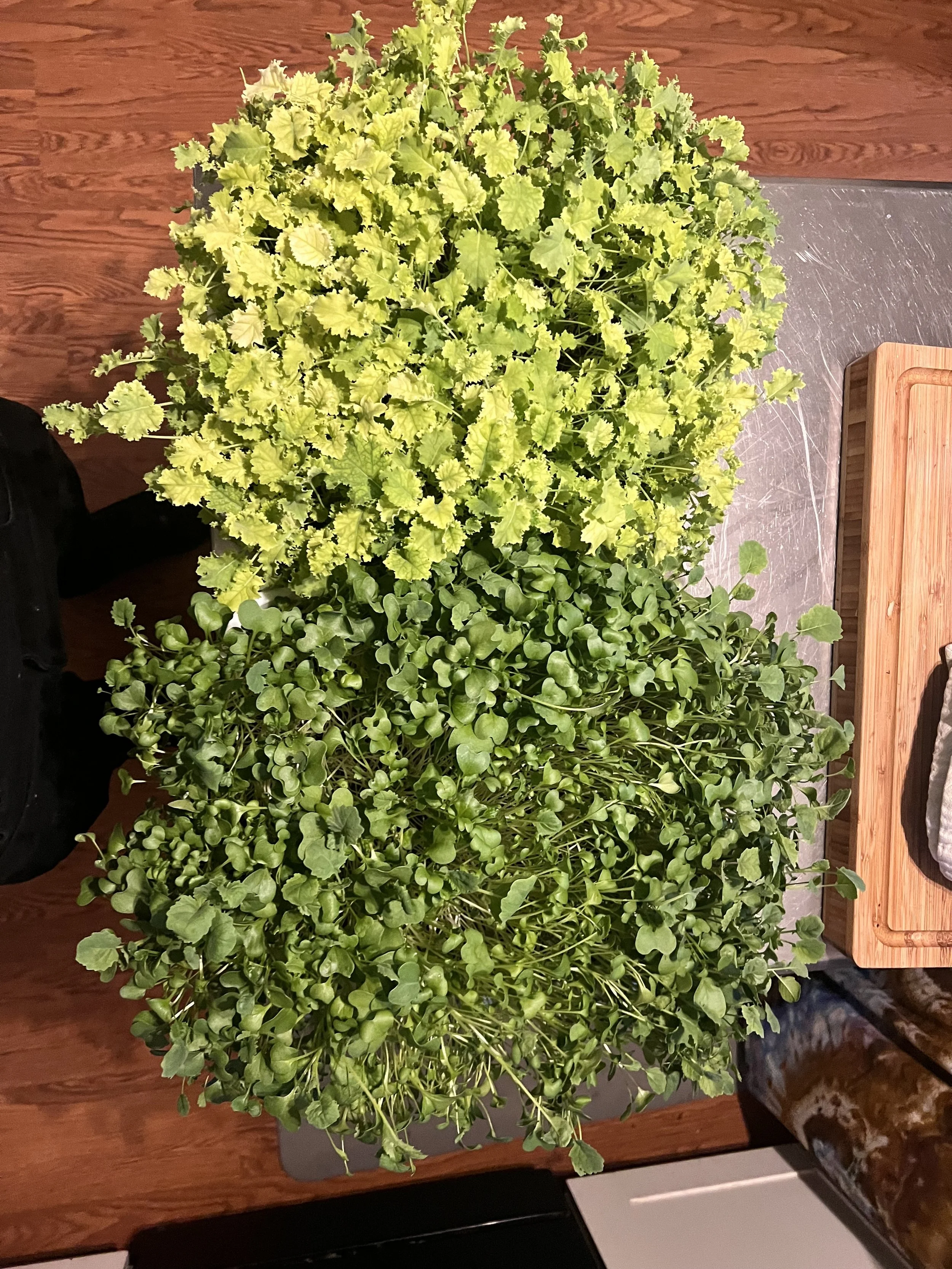 Micro green 5oz