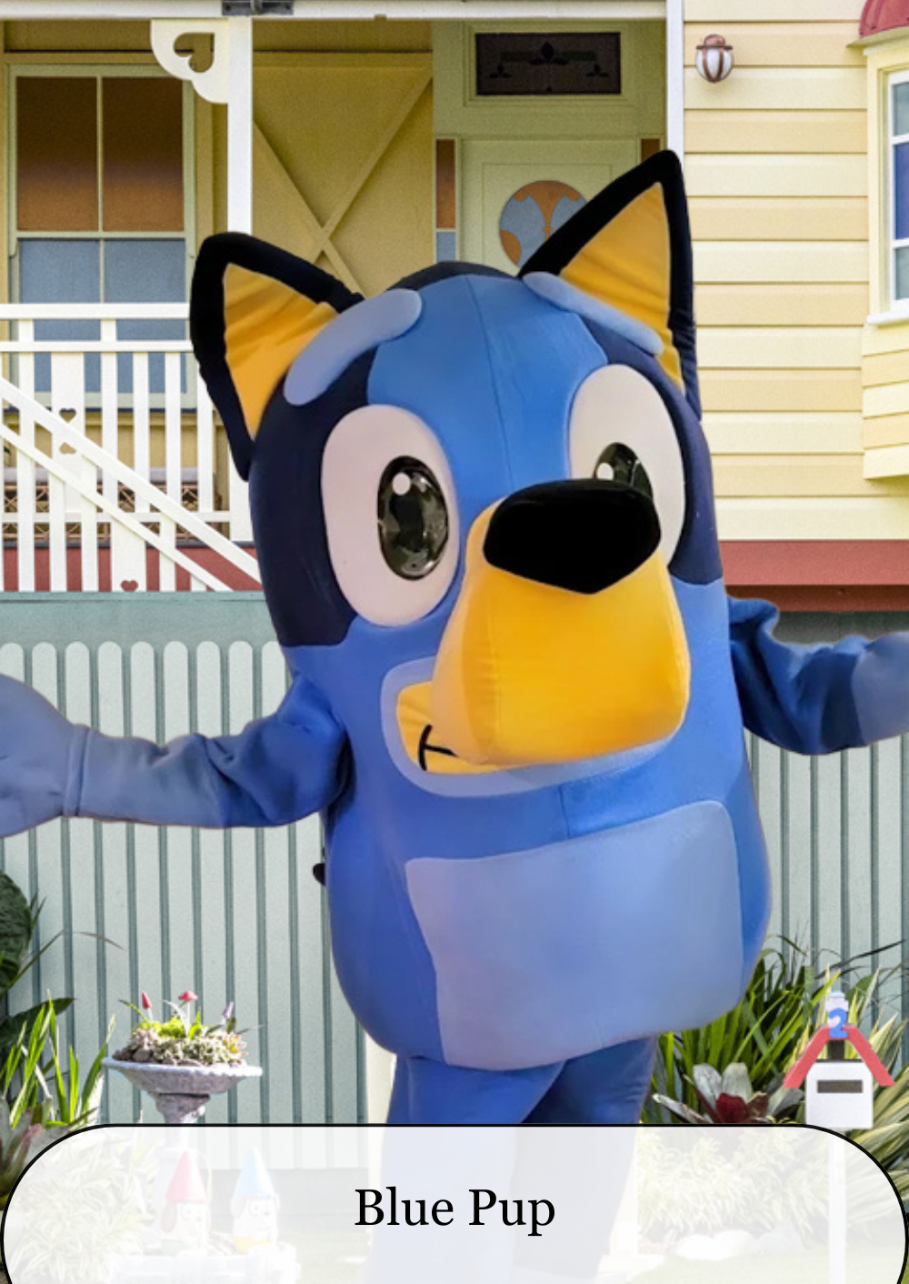 Bluey.png