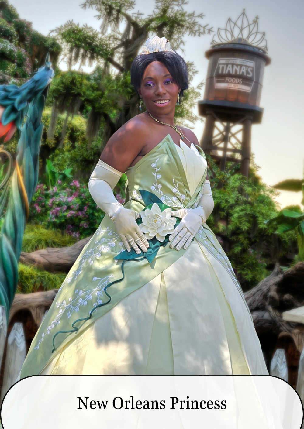 Tiana- Gown.png