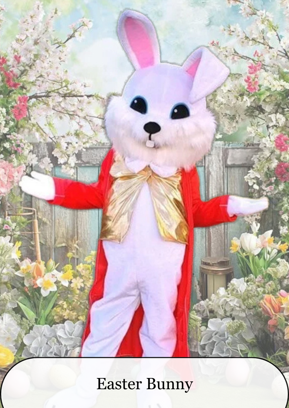 Sugar Plum Fairy (5).png