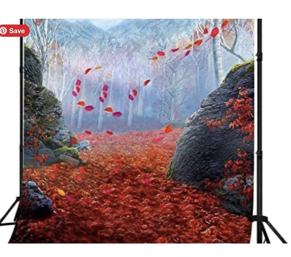 Photography backdrop of a vibrant autumn forest with red and orange leaves, trees with white bark, and large rocks.