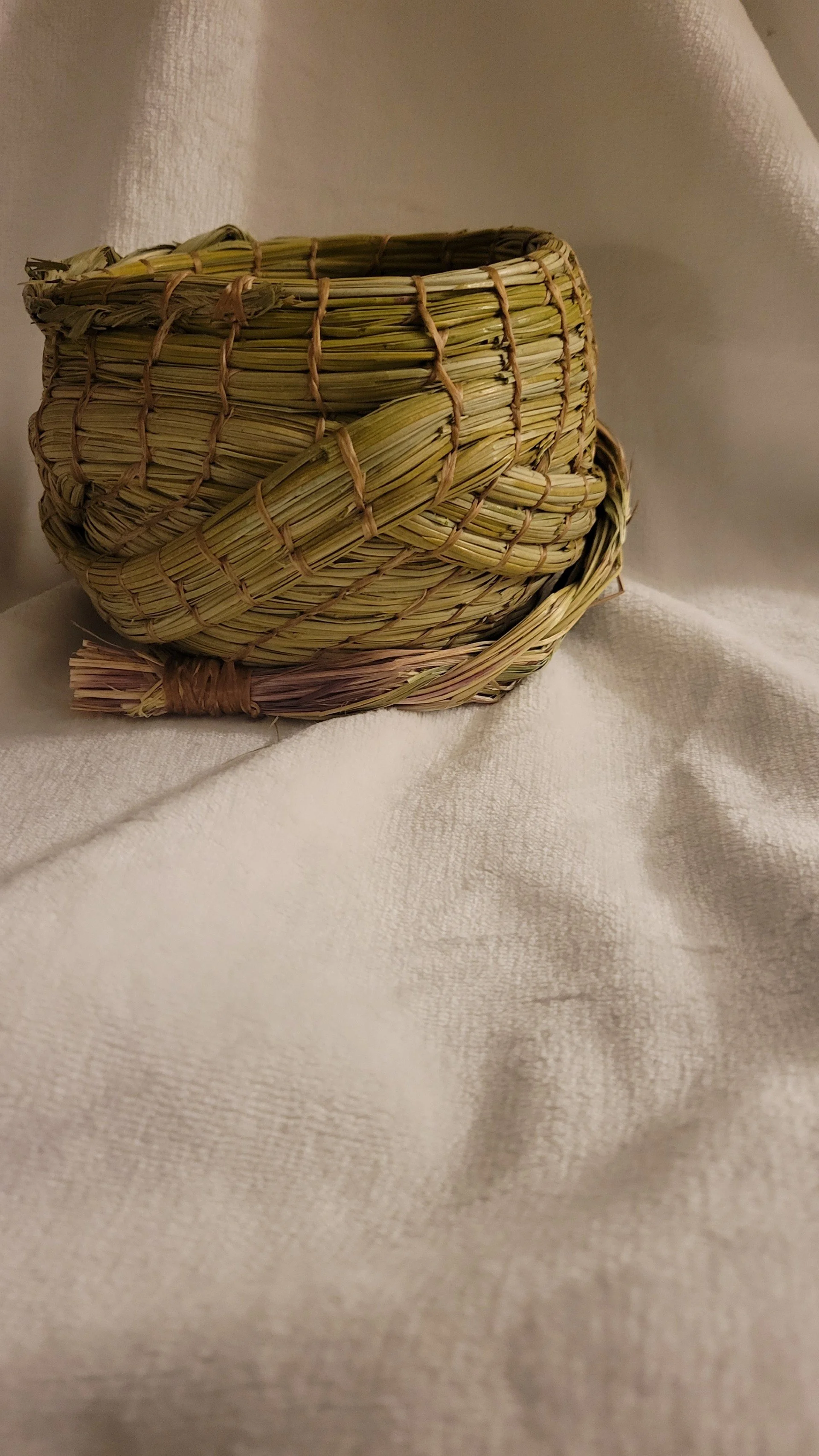 Braided Sweetgrass #2.jpg