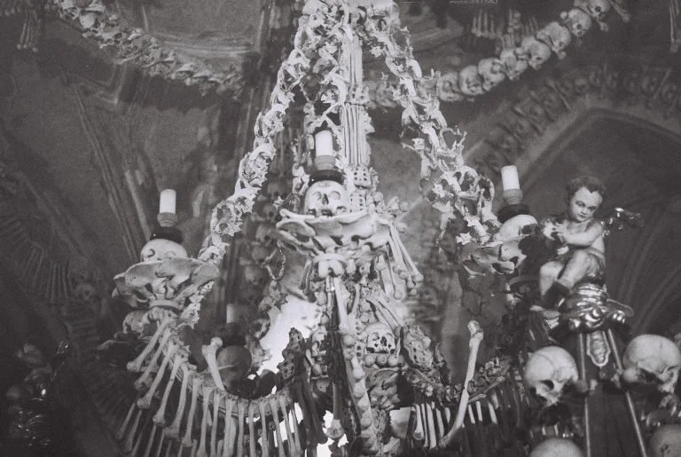 bones.jpeg