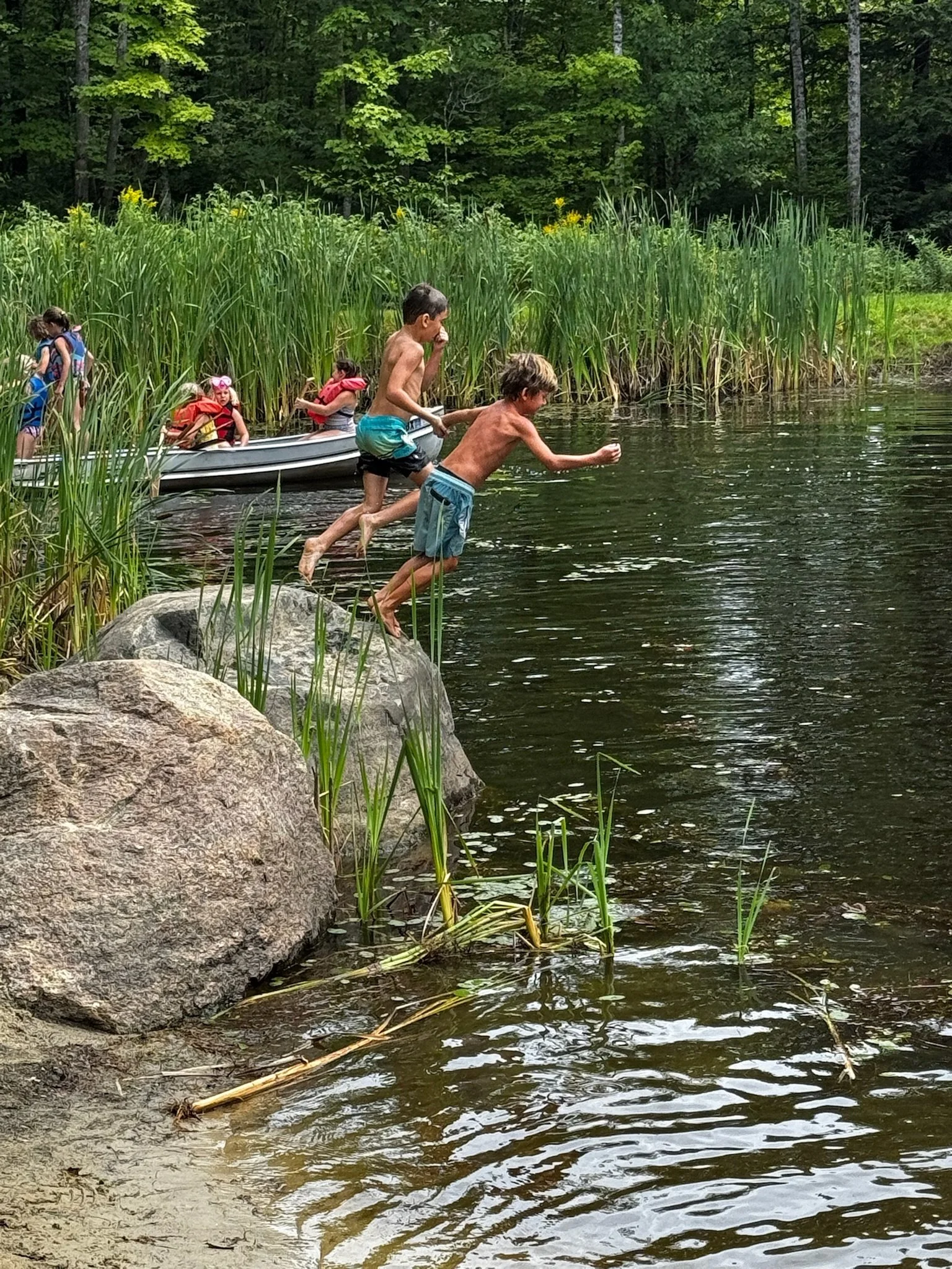Children and a woman jumping into a pond from rocks and a boat in a lush, green outdoor setting with trees and tall grass.