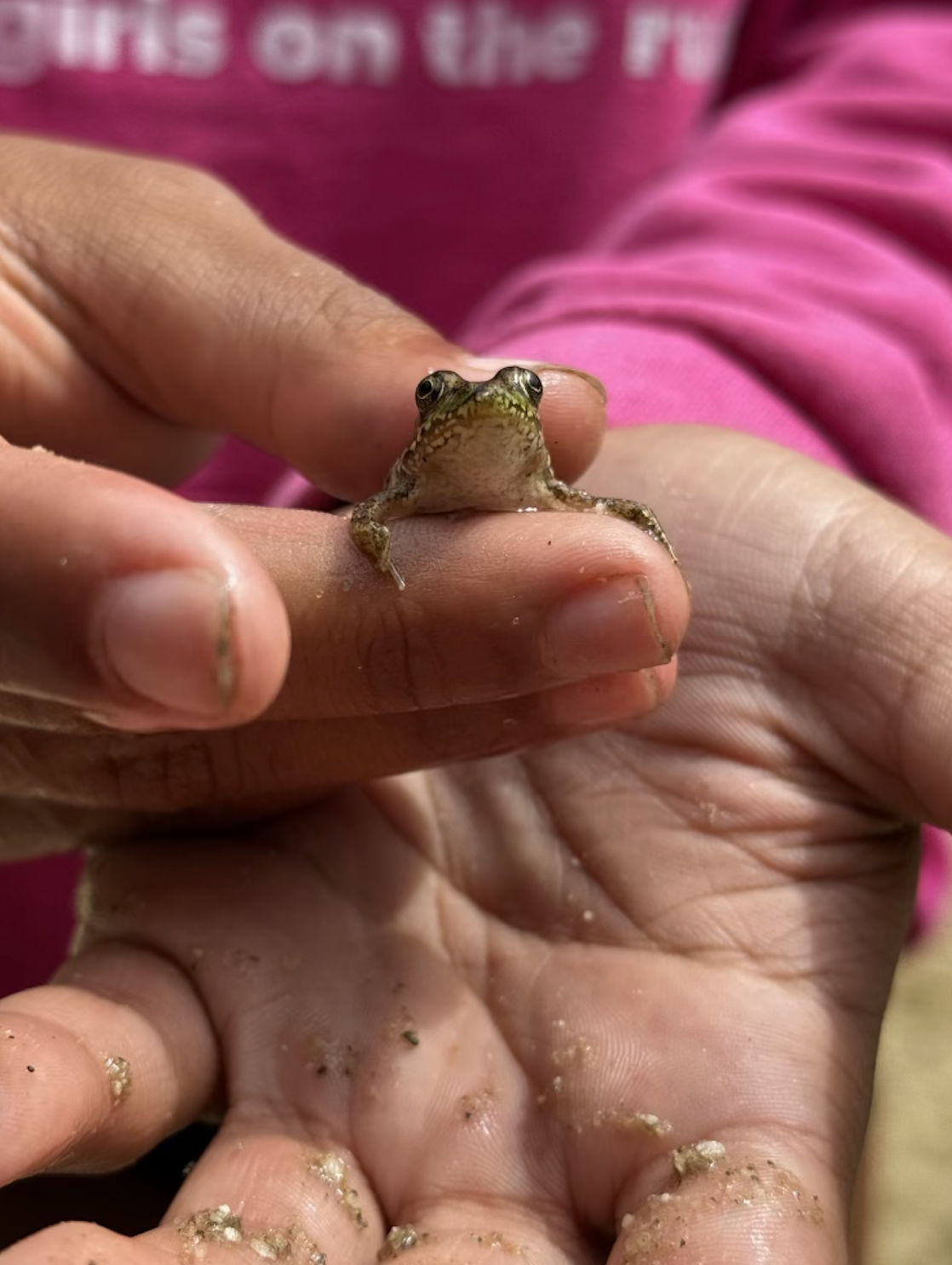 Screenshot 2026-02-20 at 11.16.08 AM.png