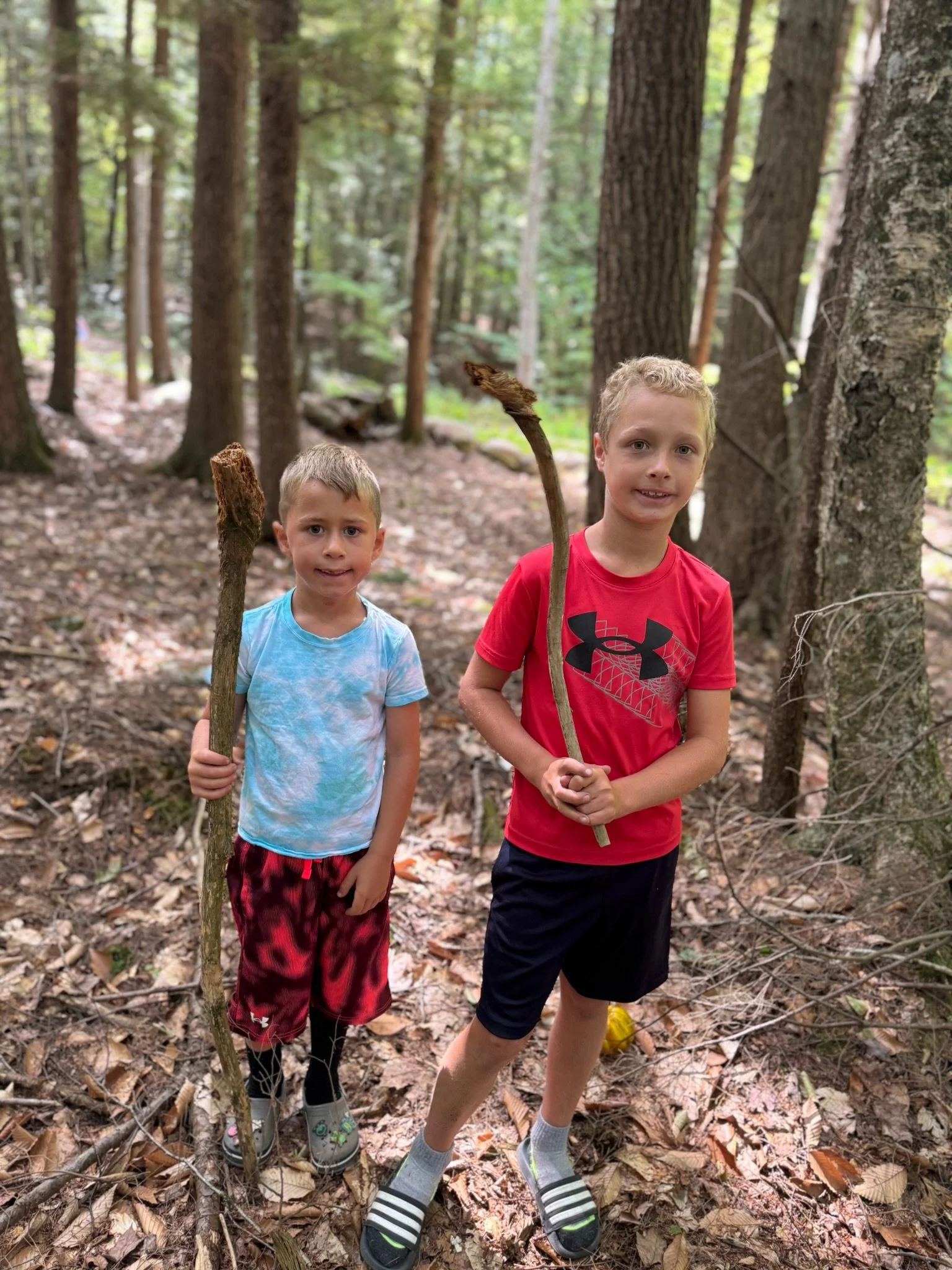 Two young boys standing in a forest holding large sticks, surrounded by trees and fallen leaves.