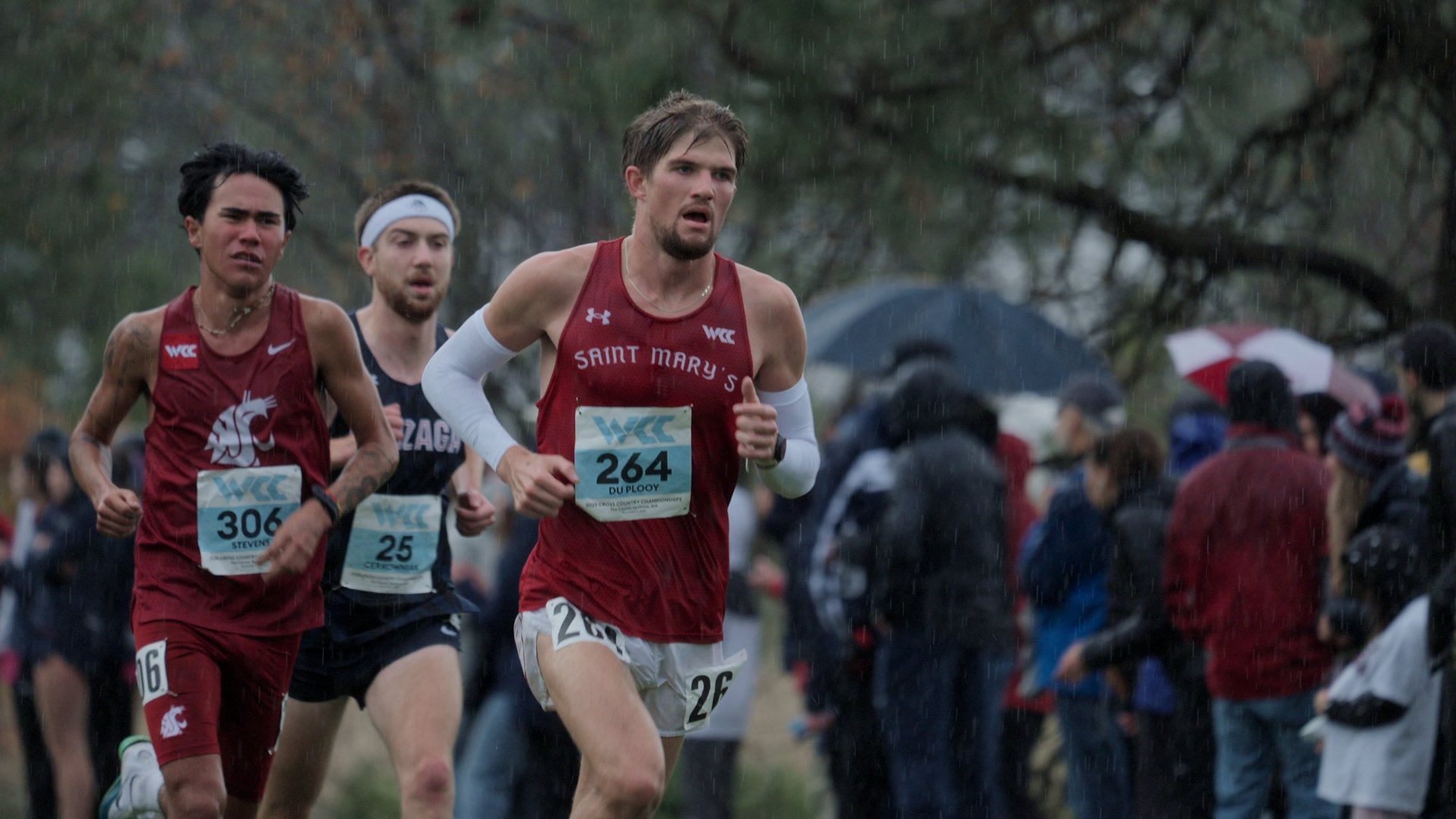 Still 2026-02-02 194900_1.30.1.jpg