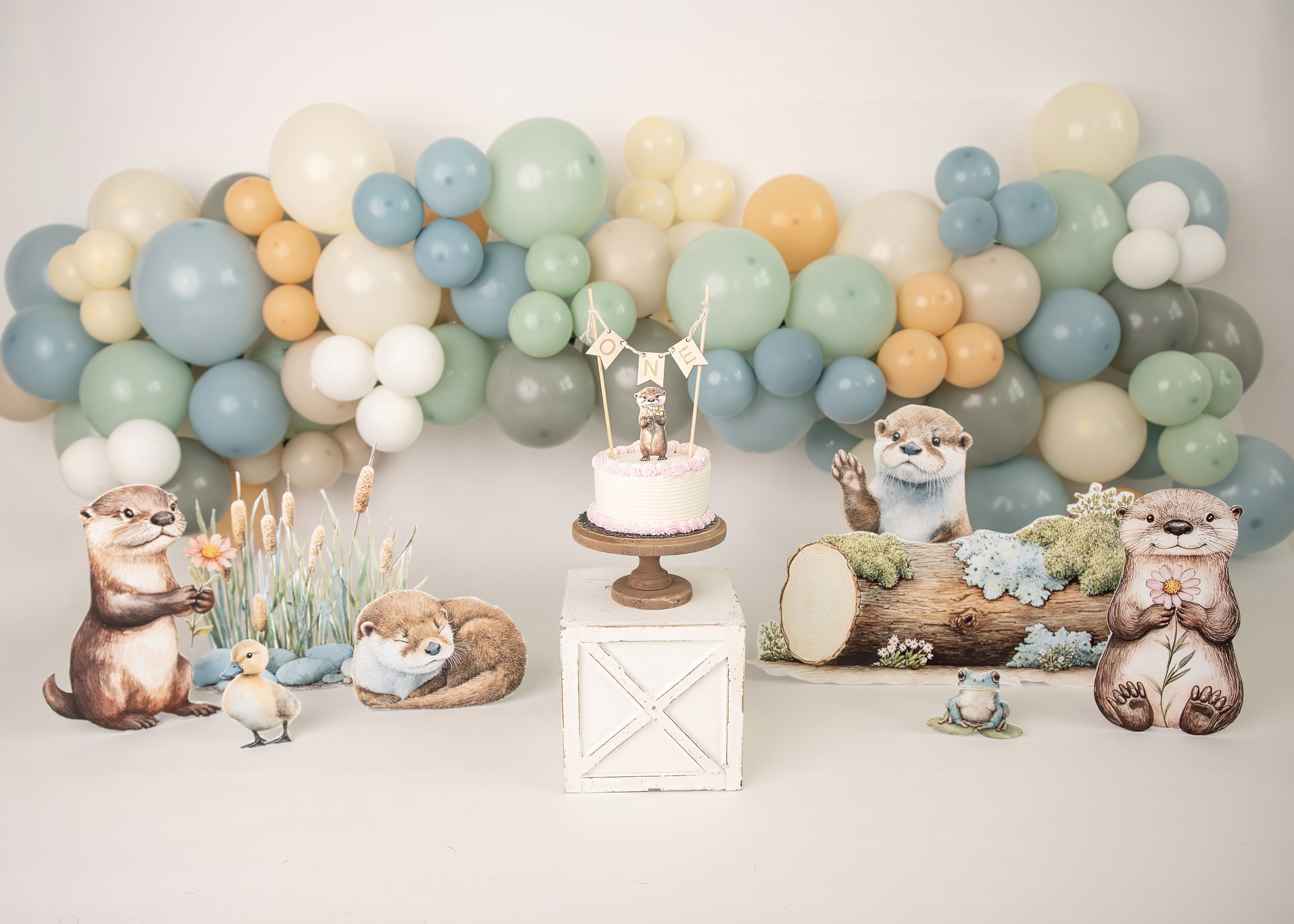 Milestone Photography