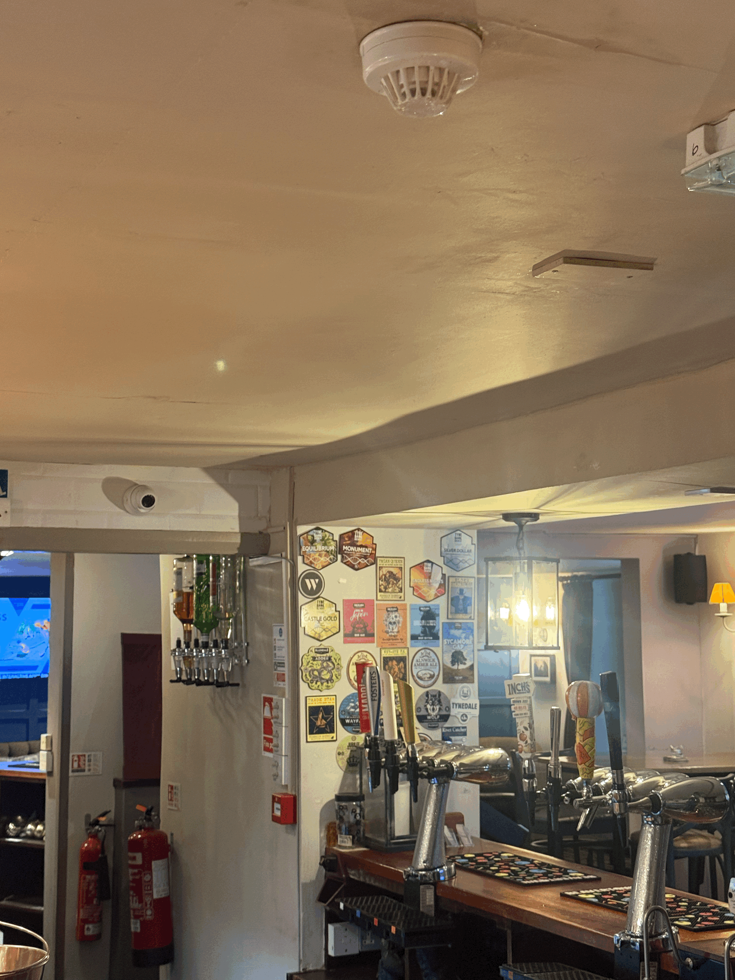 Digital and Functional Advertisement Package