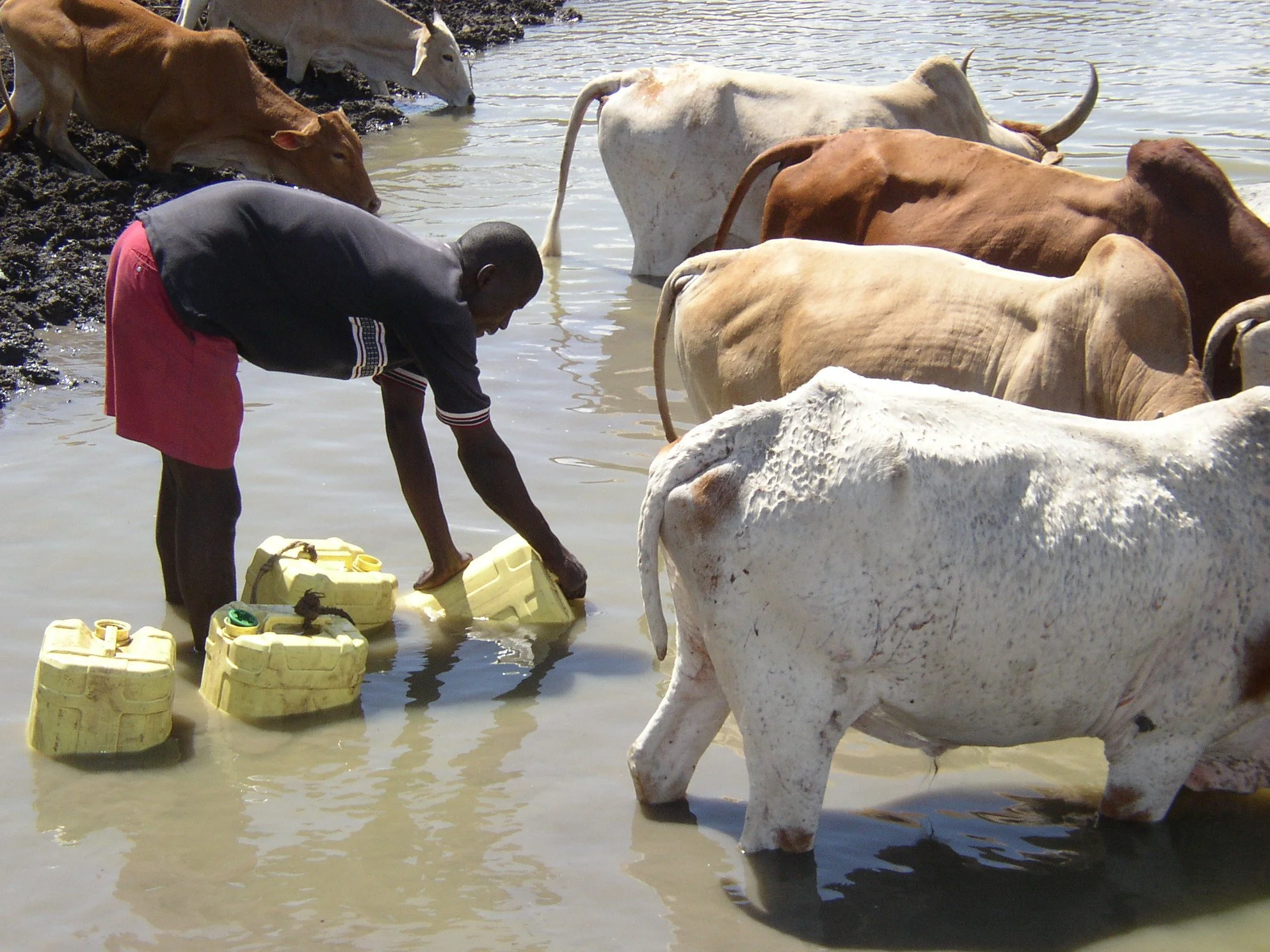 Water collecting at the same pond where I first showed people, including Mercy, how to use the P&G packets.  Water that I would not want to walk through barefoot was purified with the P&G packets.