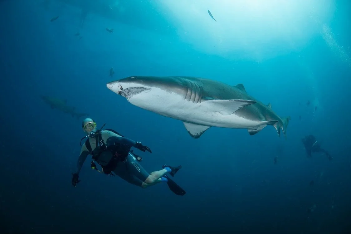 Our family motto is ‘you can’t sit around and wait for adventure’, whether it’s international travel, SCUBA diving, kayaking, skiing, hiking, or biking. Sometimes this has resulted in more adventure than I had anticipated.