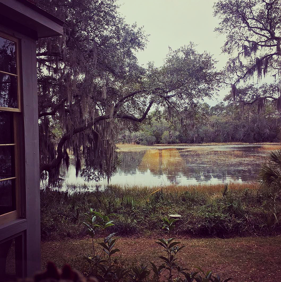 View from a house window overlooking a calm pond surrounded by lush trees with Spanish moss hanging from branches, in a natural setting.