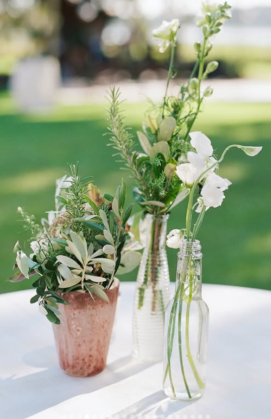 Three glass vases with green plants and white flowers on a white surface outdoors