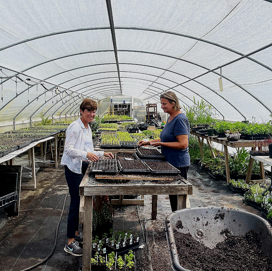 Two women working in a greenhouse filled with plants and seedlings, one watering and the other holding a tray of plants.