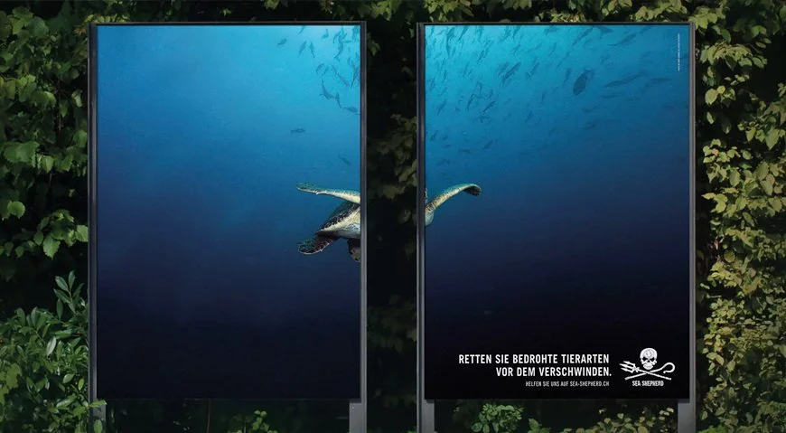 "See The Gap" for Sea Shepherd