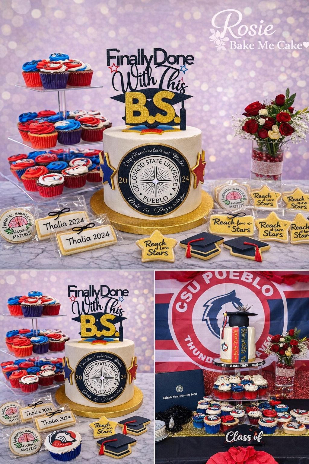 WM CSU GRAD COLLAGE .png